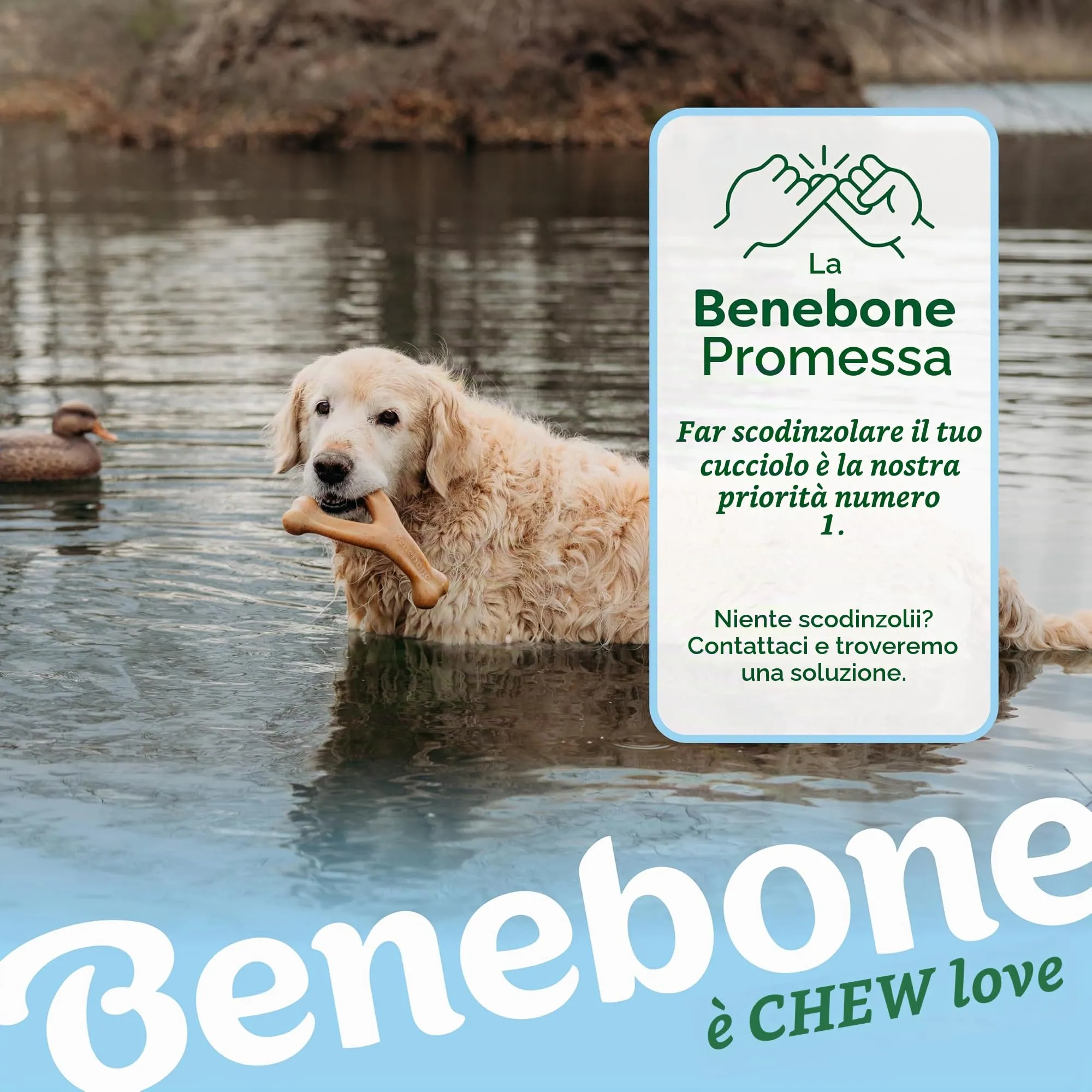 Benebone Wishbone Giocattolo da masticare per cani, gusto anatra, Taglia L - immagine 7