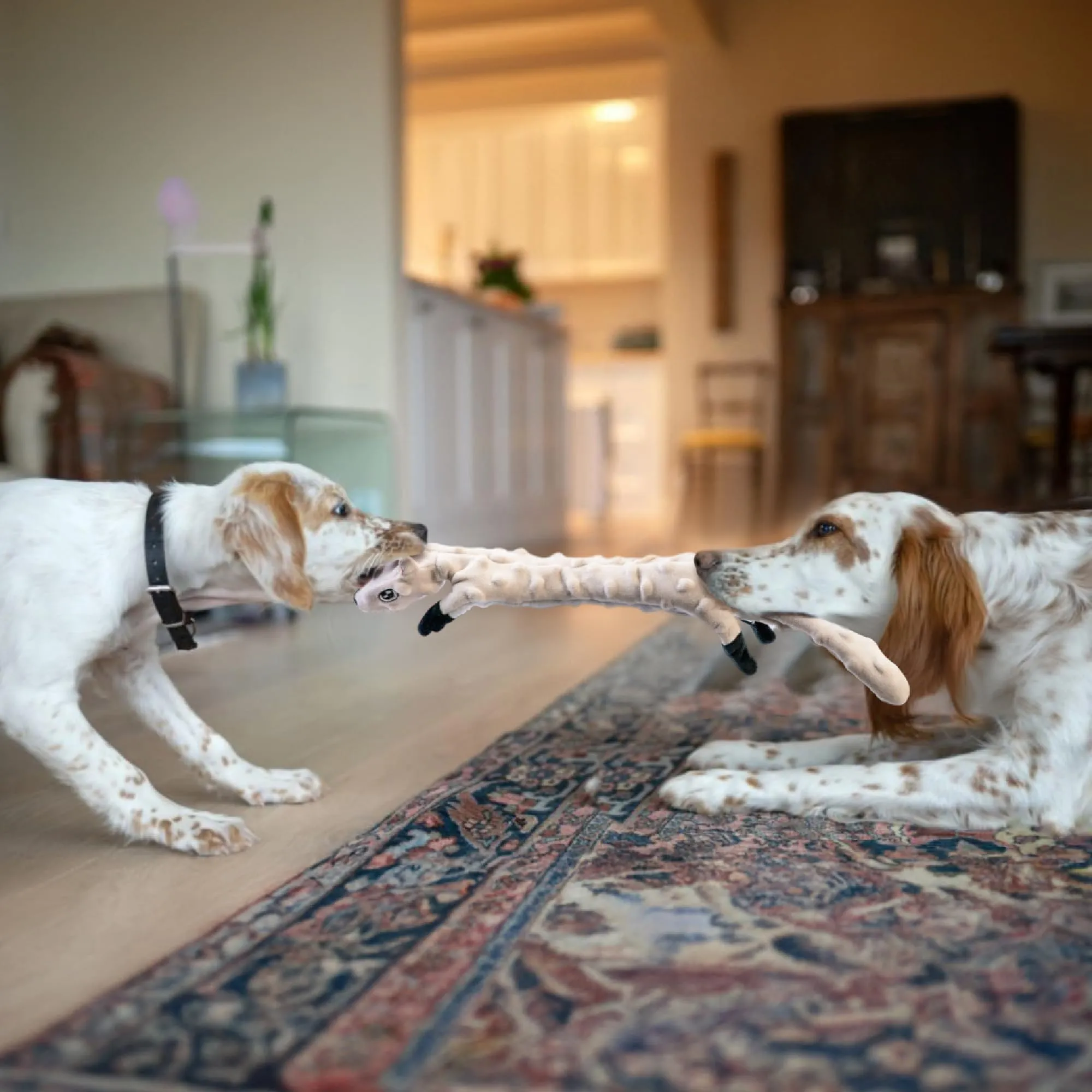 SHARLOVY Confezione da 5 giocattoli per cani in peluche, senza imbottitura con suono e fruscio, taglia Large - immagine 4