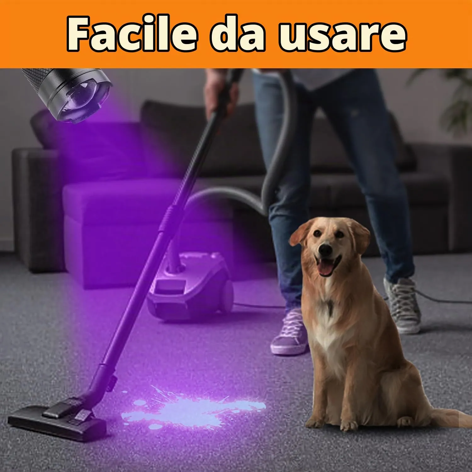 zaknszan Torcia UV 395nm LED Luce Nera Ultravioletta Mini per Animali Cane Gatto Urina - immagine 5