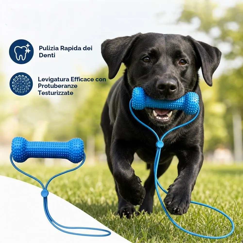 Strumento di pulizia dentale per cani a doppia azione, giocattolo da masticare per cura orale e spazzolamento denti - immagine 4