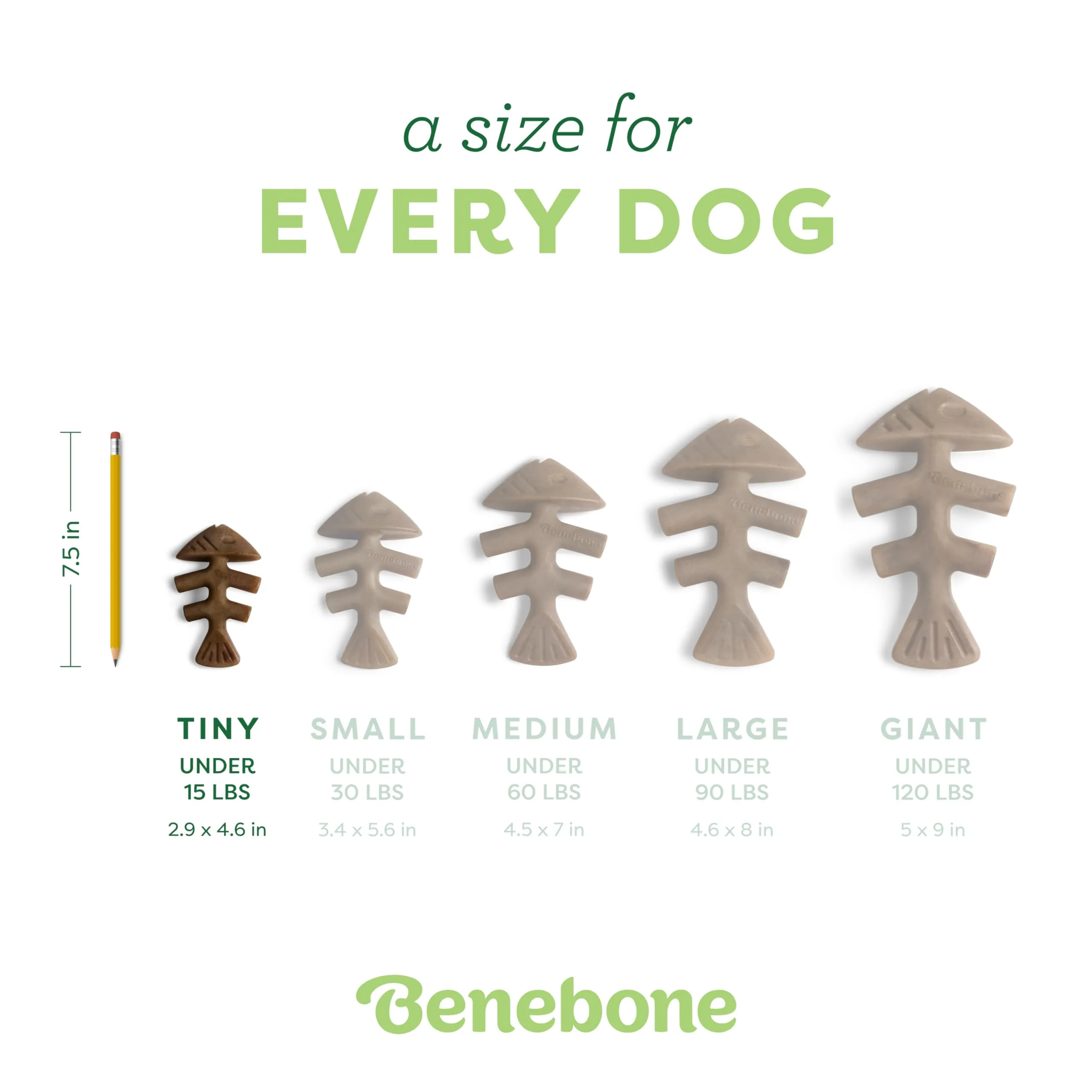 Benebone Tiny Fishbone Giochi Resistenti, Pesce Reale - immagine 4