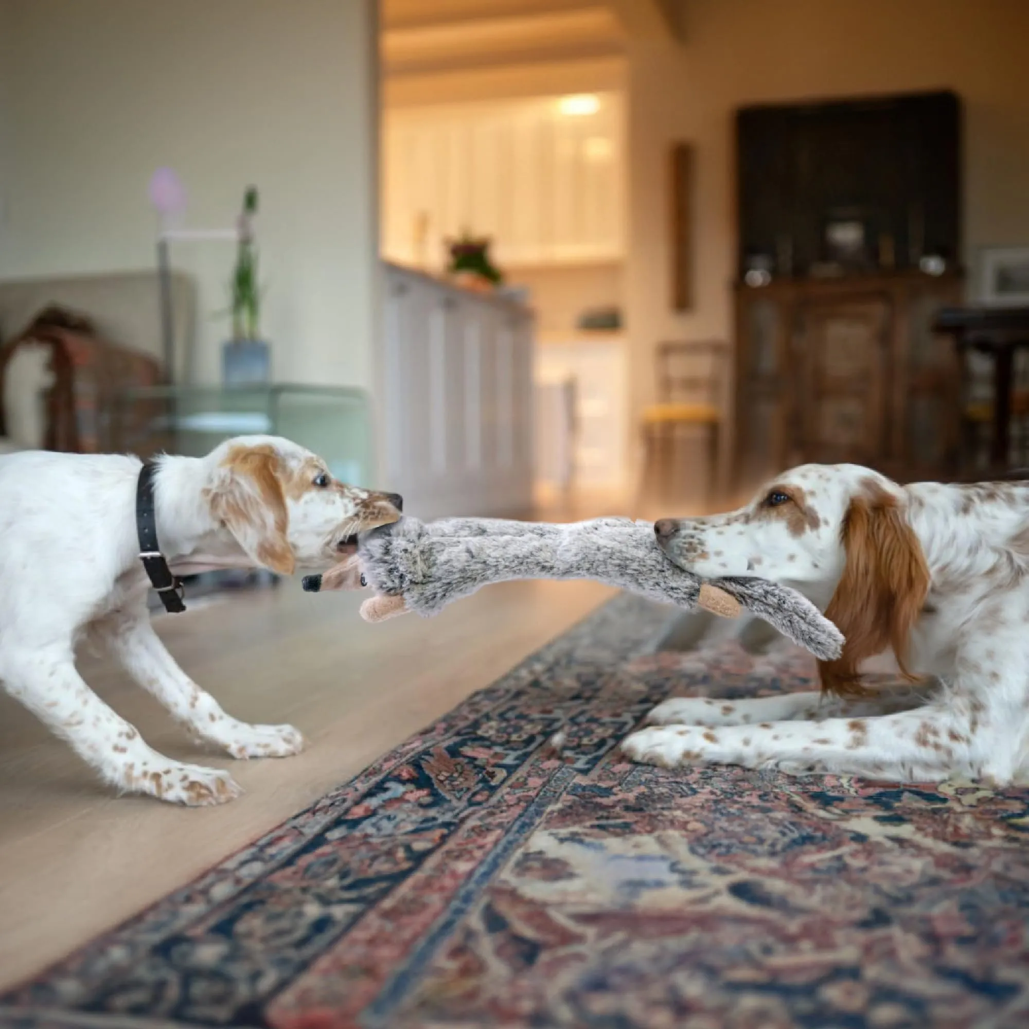 SHARLOVY Giocattoli cigolanti per cani, senza imbottitura, confezione da 2, taglia Large - immagine 7