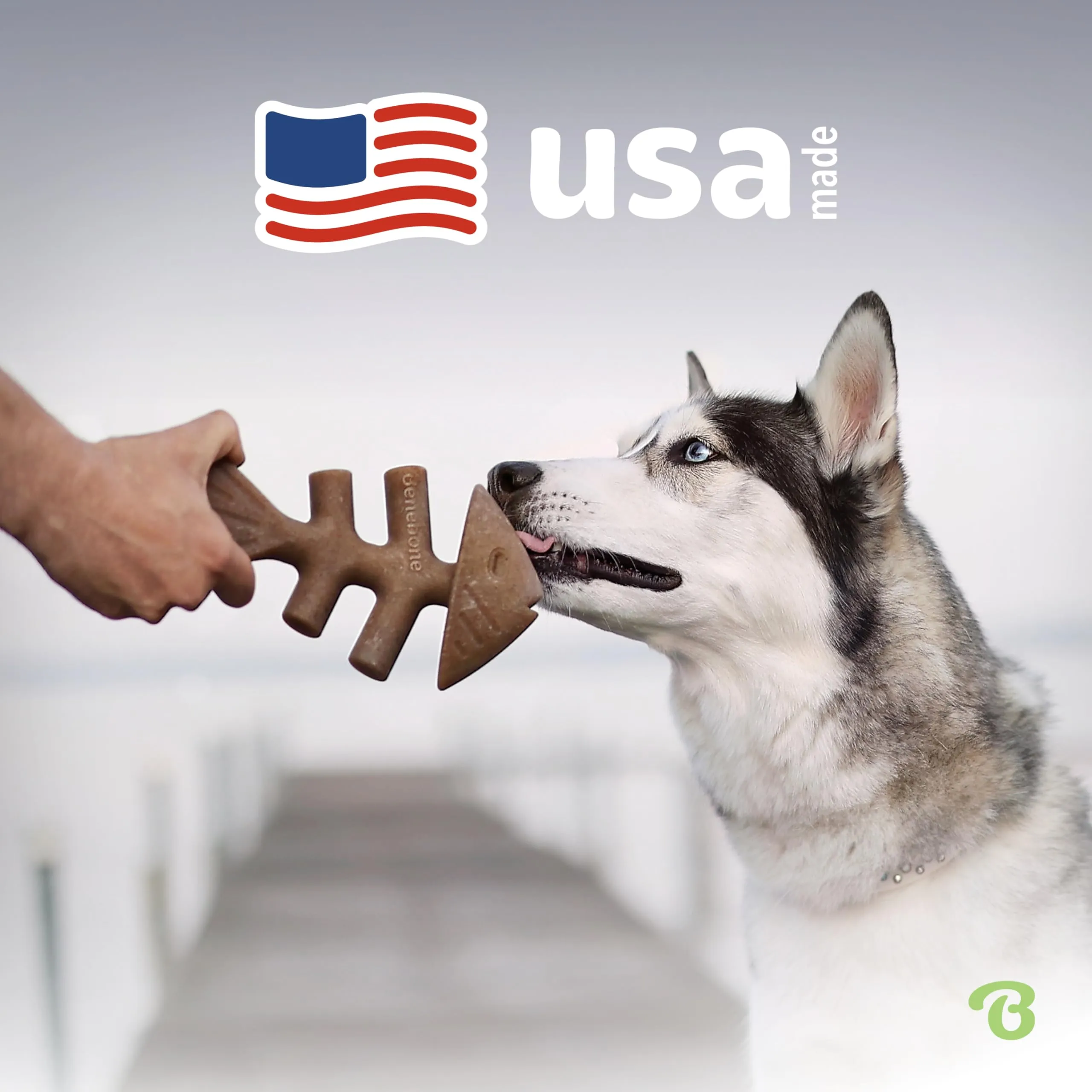 Benebone Fishbone Gioco da Masticare per Cani, Grande - immagine 5