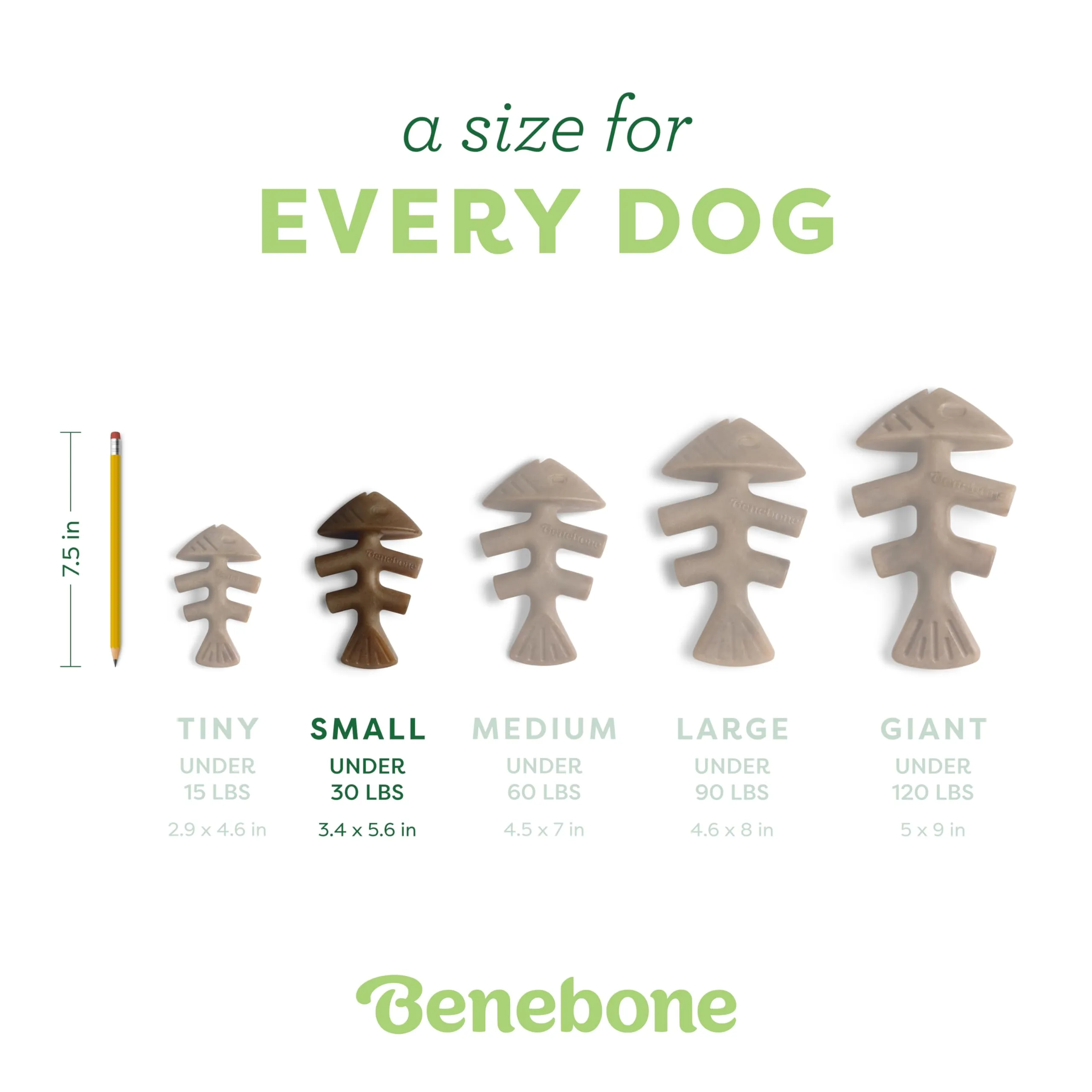 Benebone Fishbone Gioco da Masticare per Cani, Piccolo - immagine 4