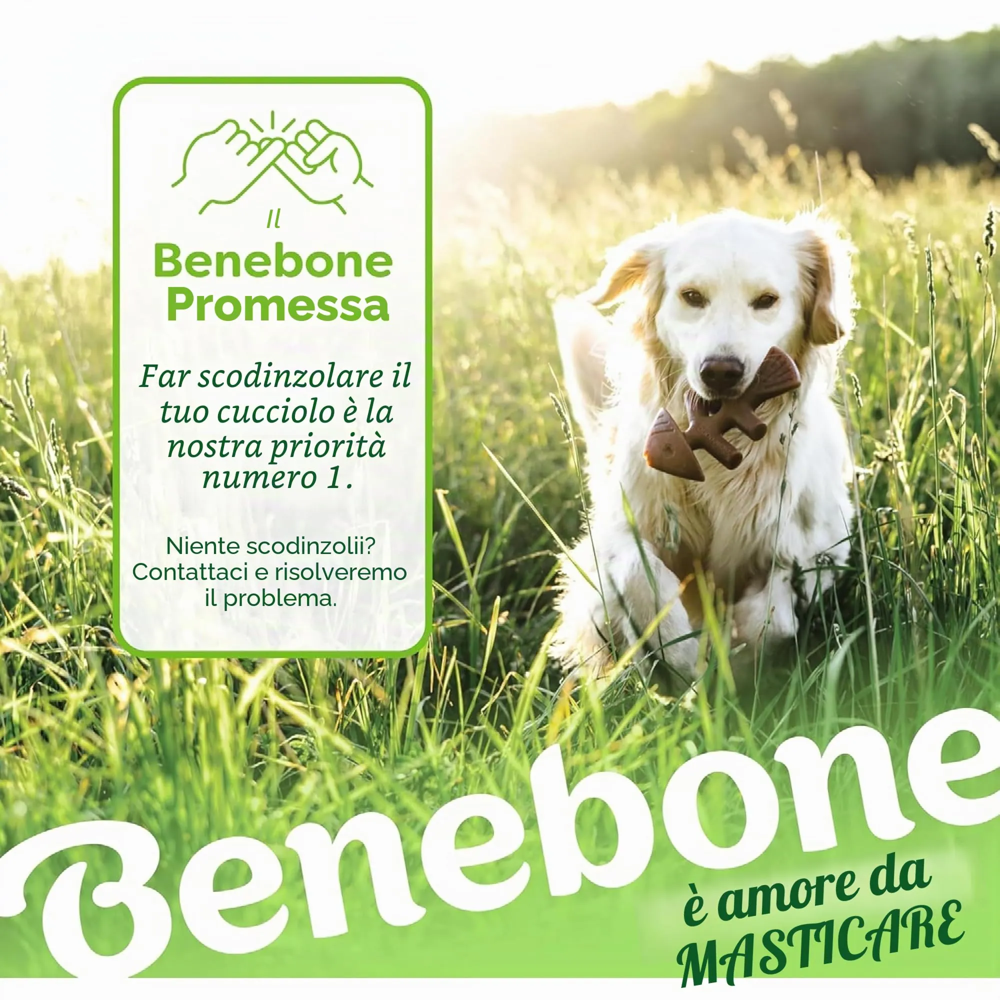 Benebone Fishbone Gioco da Masticare per Cani, Piccolo - immagine 6