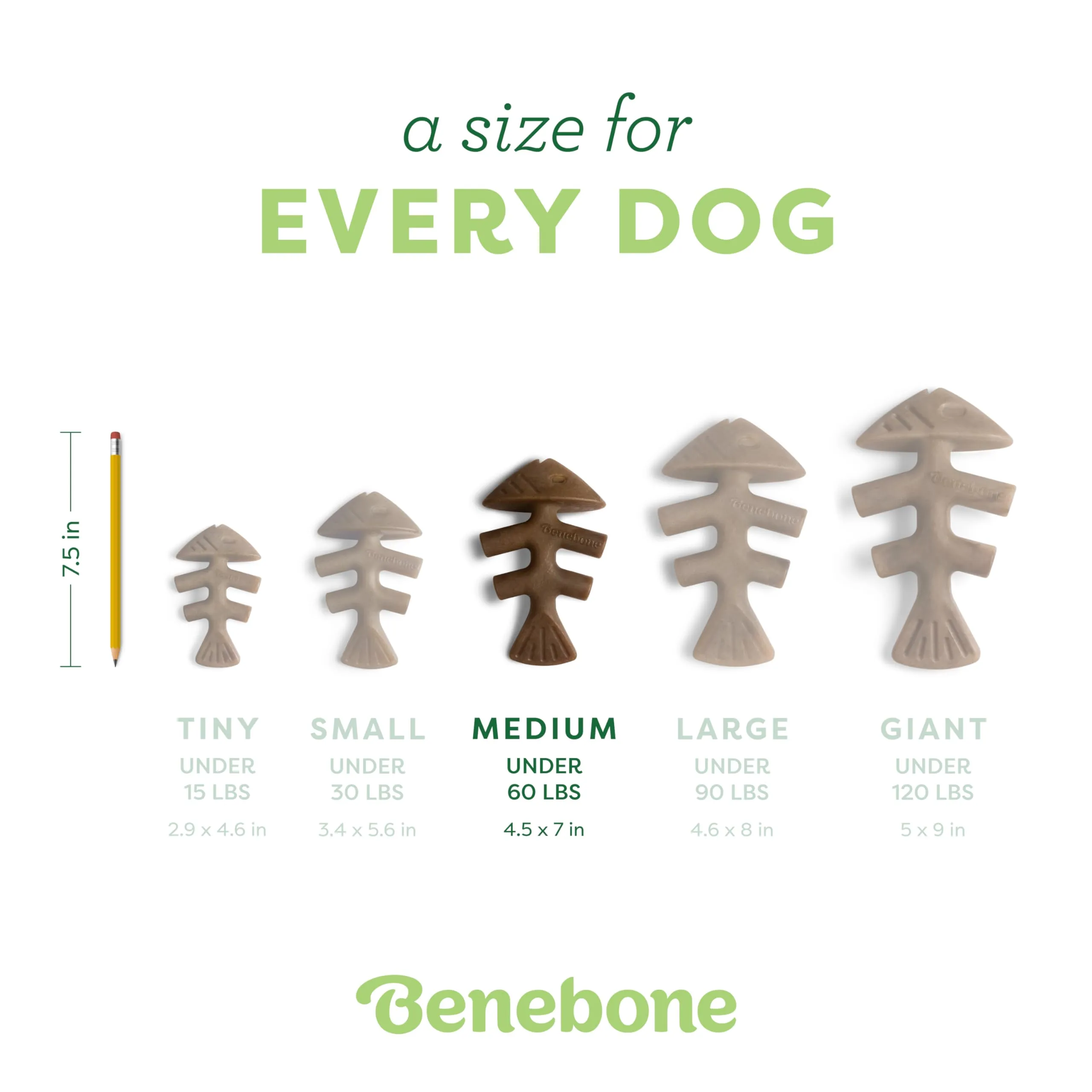 Benebone Fishbone Gioco da Masticare per Cani, Medio - immagine 4