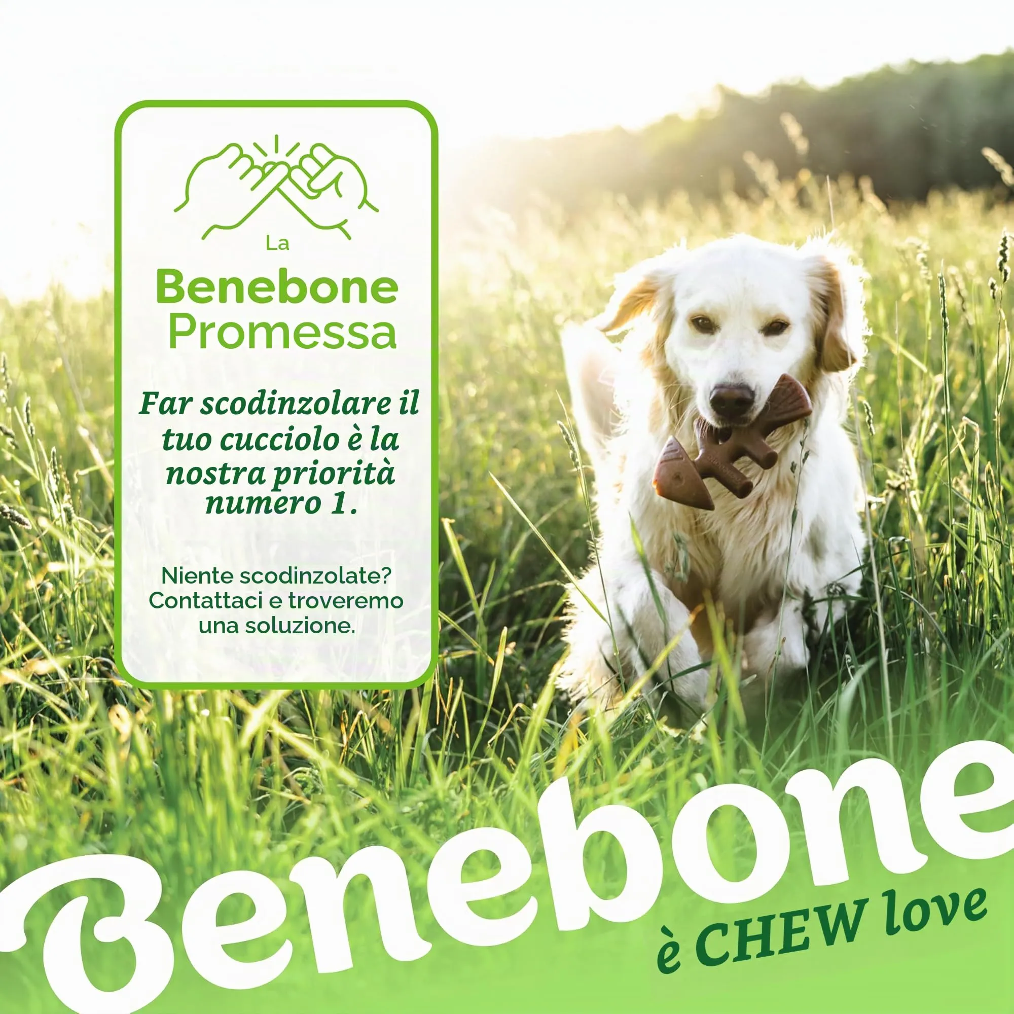 Benebone Fishbone Gioco da Masticare per Cani, Medio - immagine 6