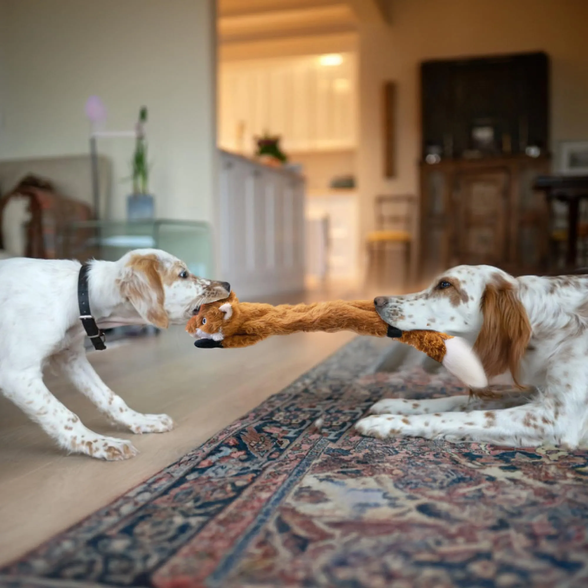 SHARLOVY Giocattoli cigolanti per cani senza imbottitura, confezione da 3, piccola taglia - immagine 7
