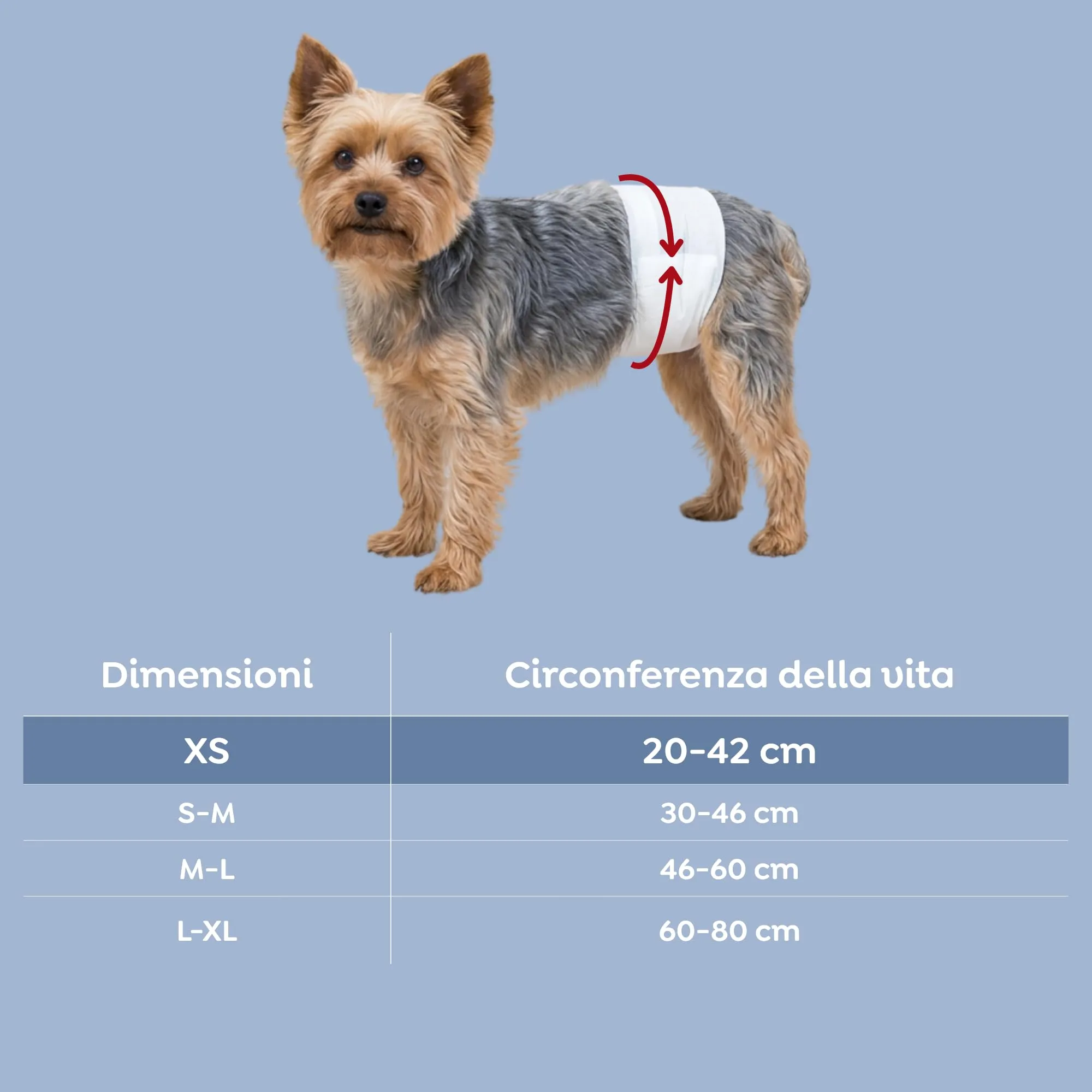 Trixie Pannolini per Cani Maschi, Taglia XS, 20-42 cm, 12 Pezzi, 23640 - immagine 3