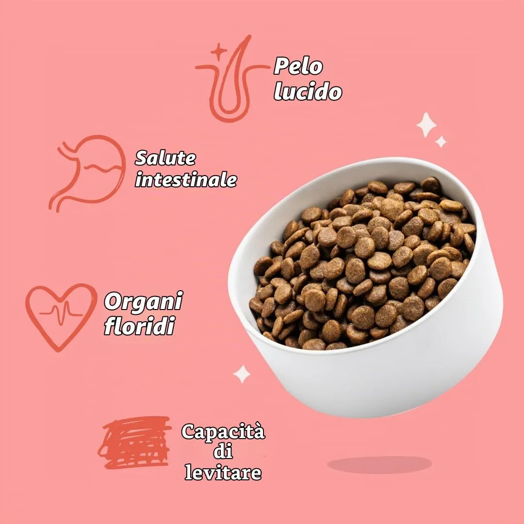 Edgard & Cooper Crocchette Cani Senior Senza Cereali Taglia Medium, Pollo e Salmone Freschi, 2.5kg - immagine 6
