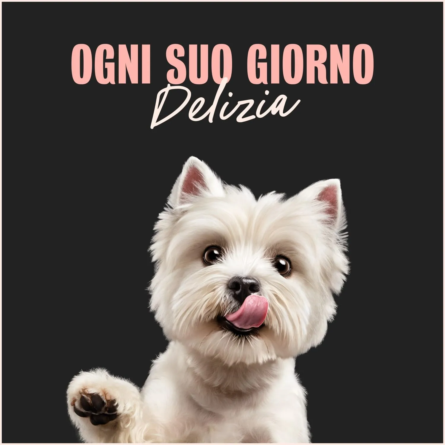 Cesar Scelta dello Chef Cibo Umido per Cani con Manzo alla Griglia, Riso Integrale e Verdure, 14 Vaschette da 150 g - immagine 5