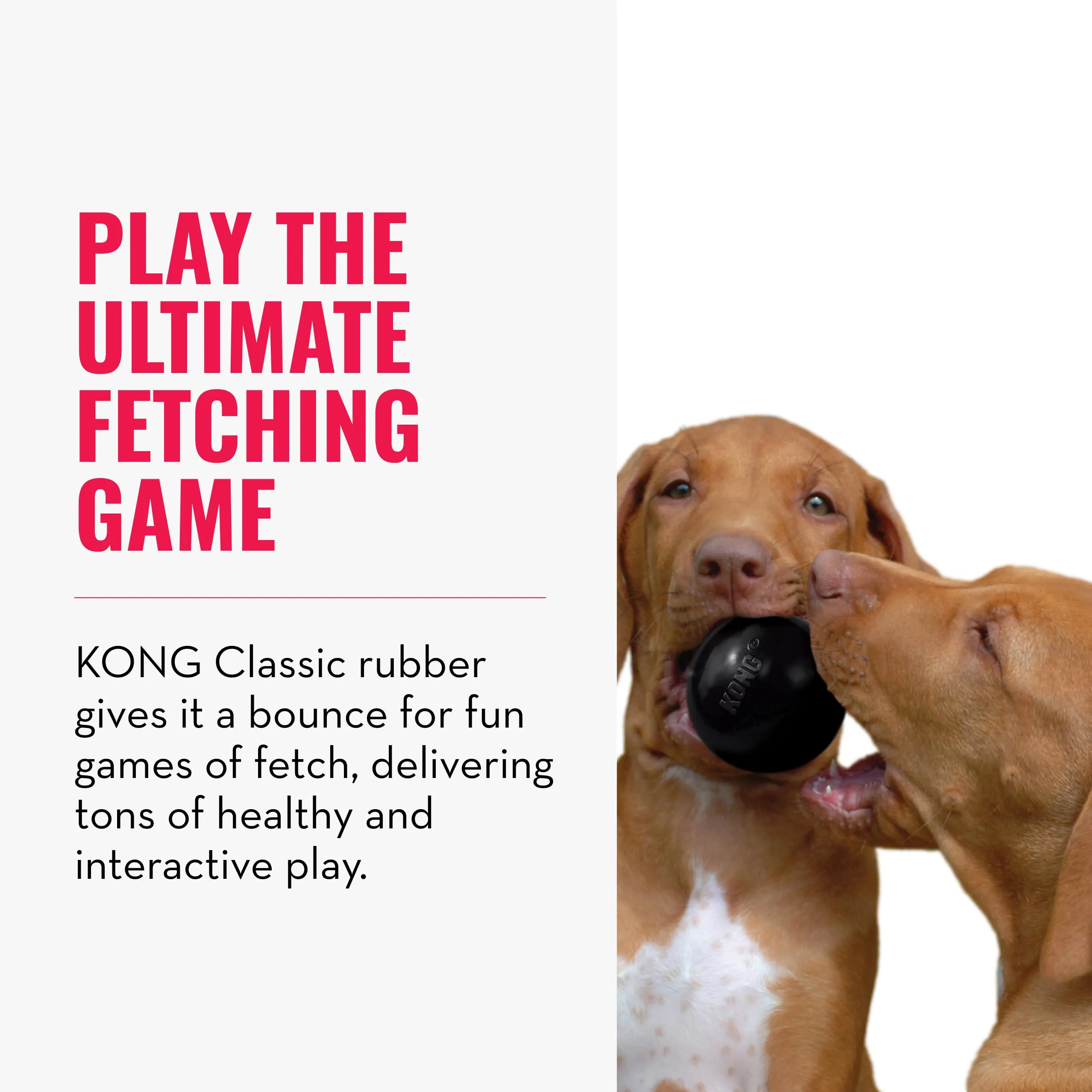 KONG Extreme Ball con Foro per Cani, Nero, Taglia Media/Grande - immagine 4