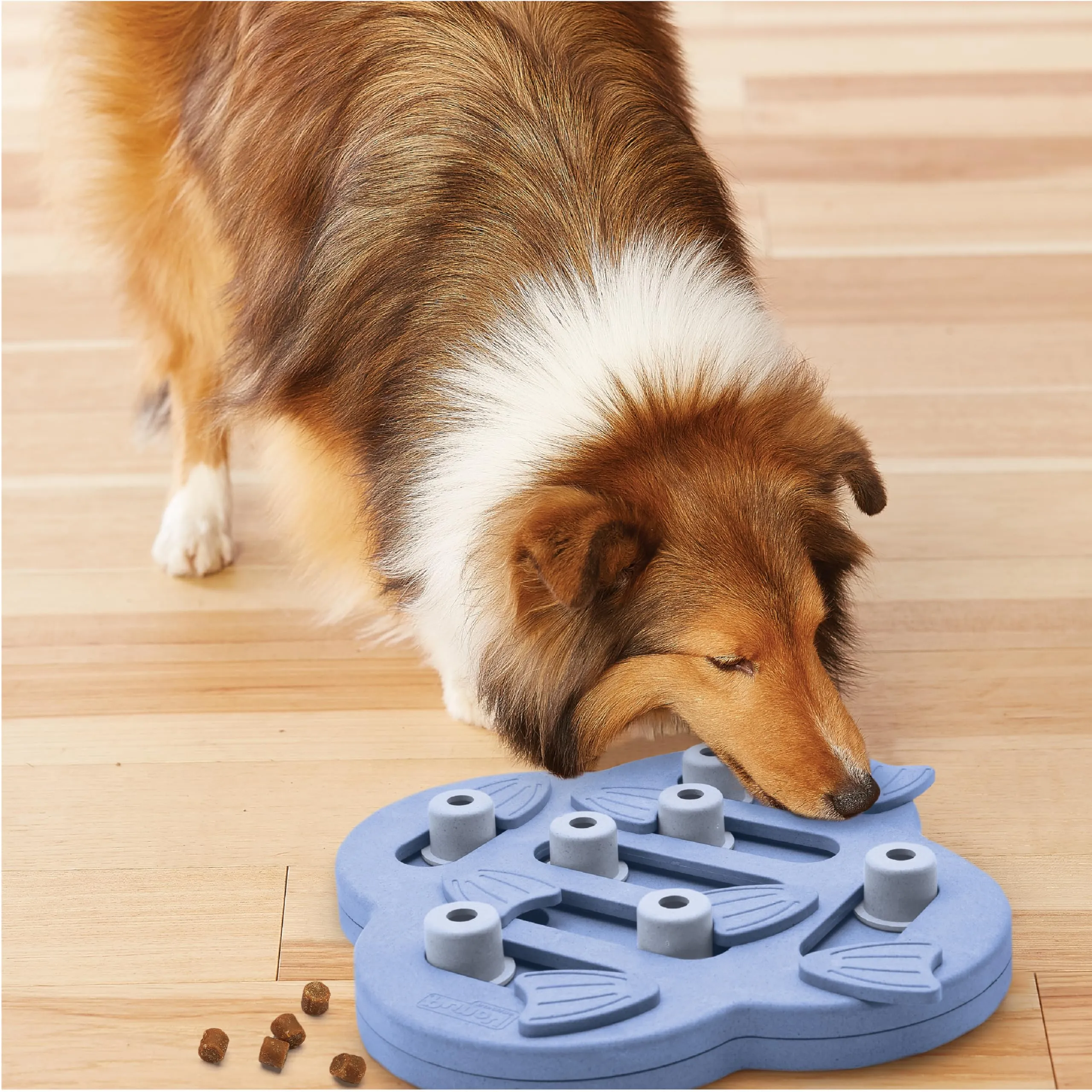 Outward Hound Nina Ottosson Dog Hide N' Slide - Gioco Rompicapo Interattivo Livello 2 - Viola - immagine 2