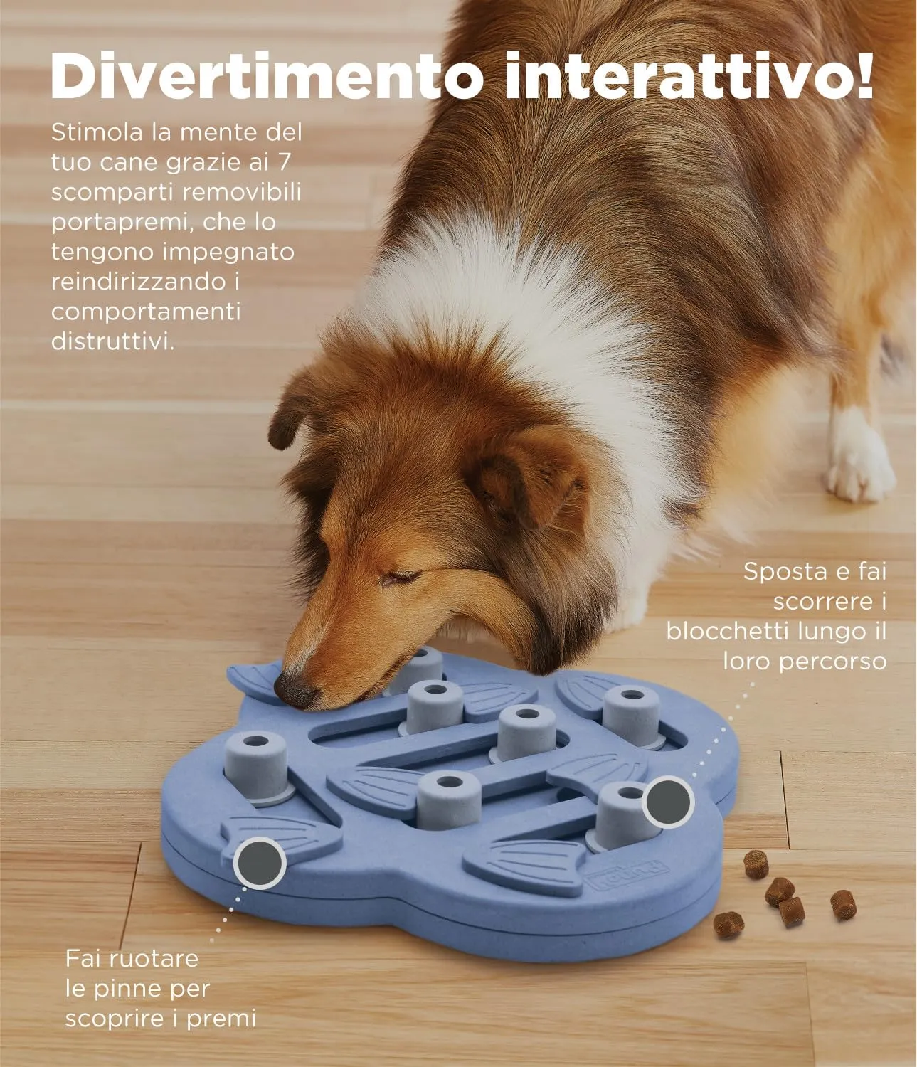 Outward Hound Nina Ottosson Dog Hide N' Slide - Gioco Rompicapo Interattivo Livello 2 - Viola - immagine 3