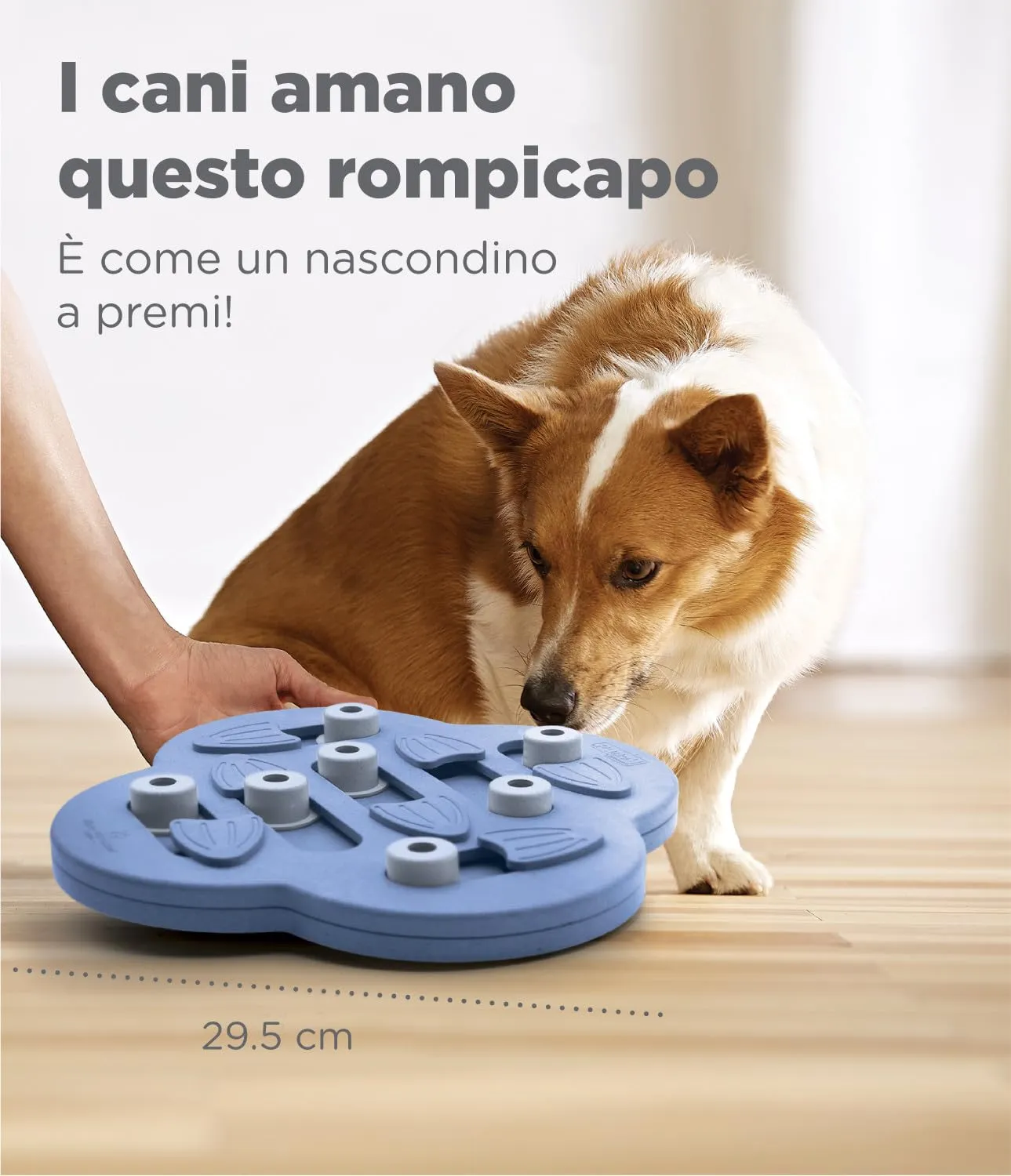 Outward Hound Nina Ottosson Dog Hide N' Slide - Gioco Rompicapo Interattivo Livello 2 - Viola - immagine 5