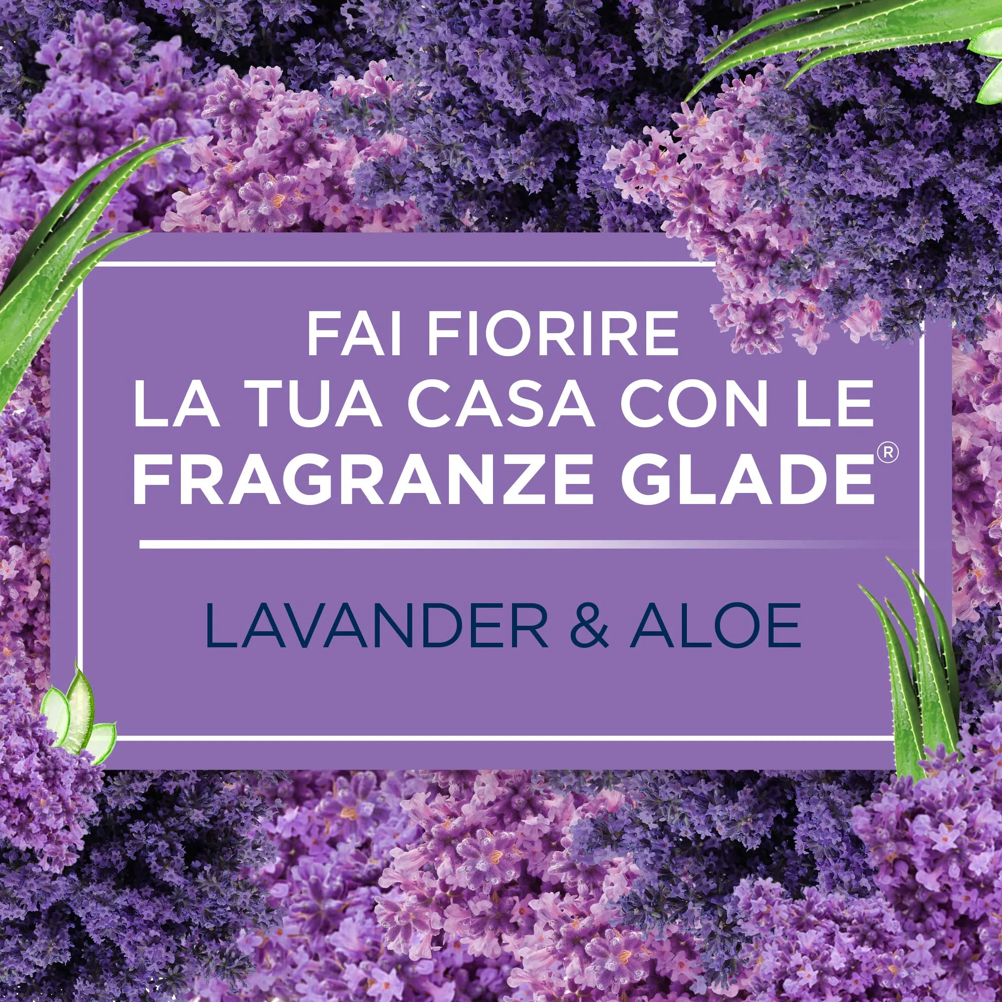Glade Sense & Spray Ricarica Calm Lavanda e Gelsomino, 2 x 18 ml - immagine 3