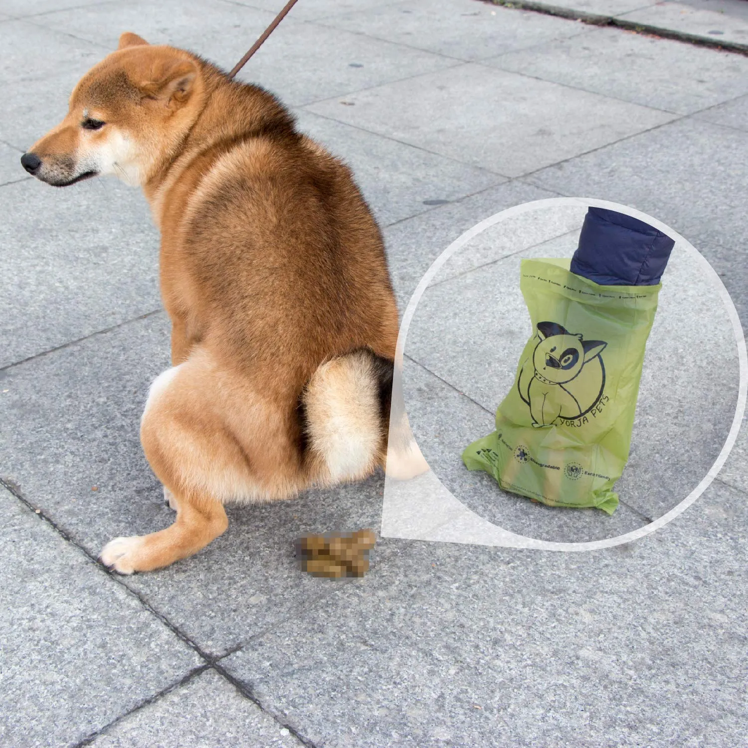 YORJA Sacchetti igienici per cane, biodegradabili, 720 unità - immagine 6