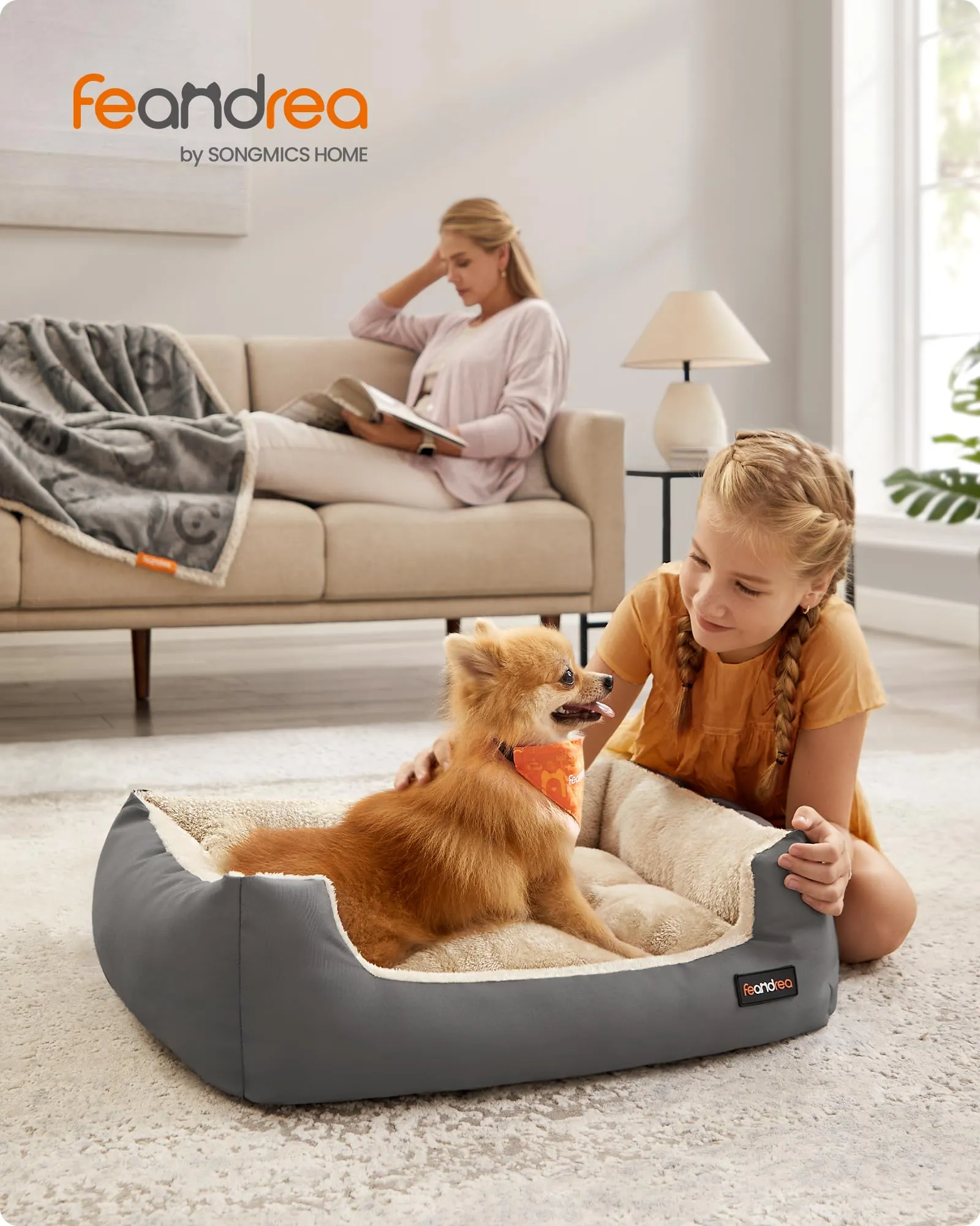Feandrea Cuccia Cane Interno con Tappeto Rimovibile e Reversibile, 70 x 55 x 21 cm, Grigio Tortora + Beige Sabbia - immagine 2