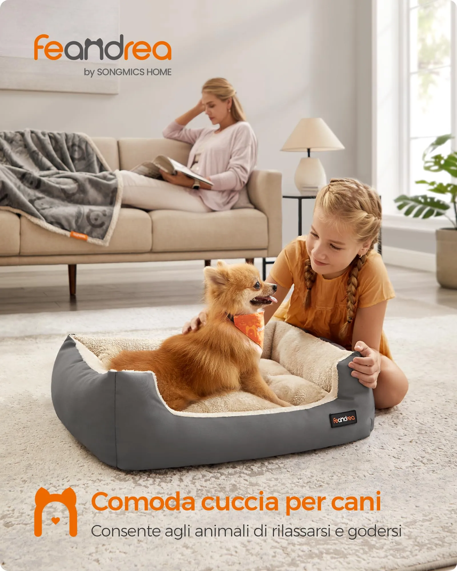 Feandrea Cuccia Cane Interno con Tappeto Rimovibile e Reversibile, 70 x 55 x 21 cm, Grigio Tortora + Beige Sabbia - immagine 3