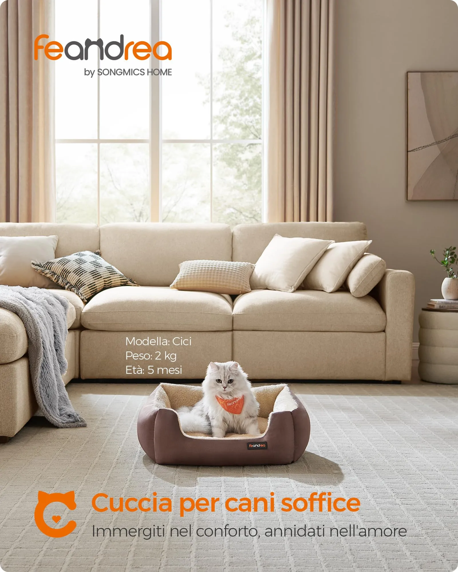 Feandrea Cuccia Cane Interno con Tappeto Rimovibile e Reversibile, 60 x 50 x 20 cm, Marrone Caffè + Beige Sabbia - immagine 2