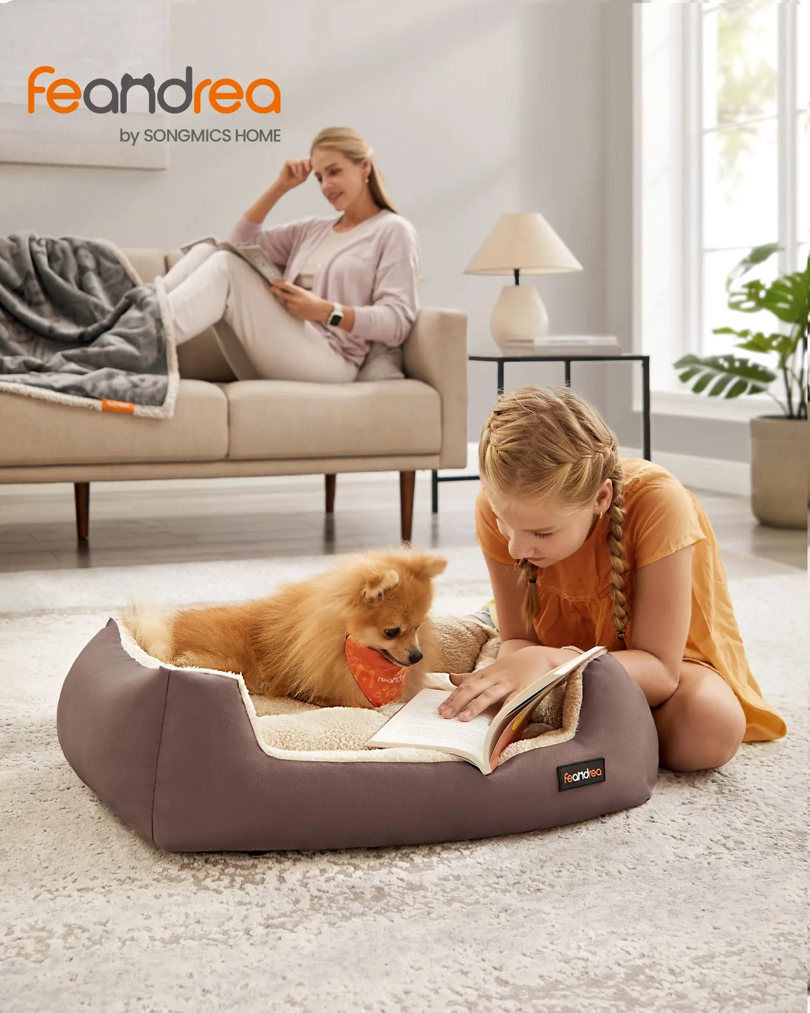 Feandrea Cuccia Cane Interno con Tappeto Rimovibile e Reversibile, 70 x 55 x 21 cm, Marrone Caffè + Beige Sabbia - immagine 2