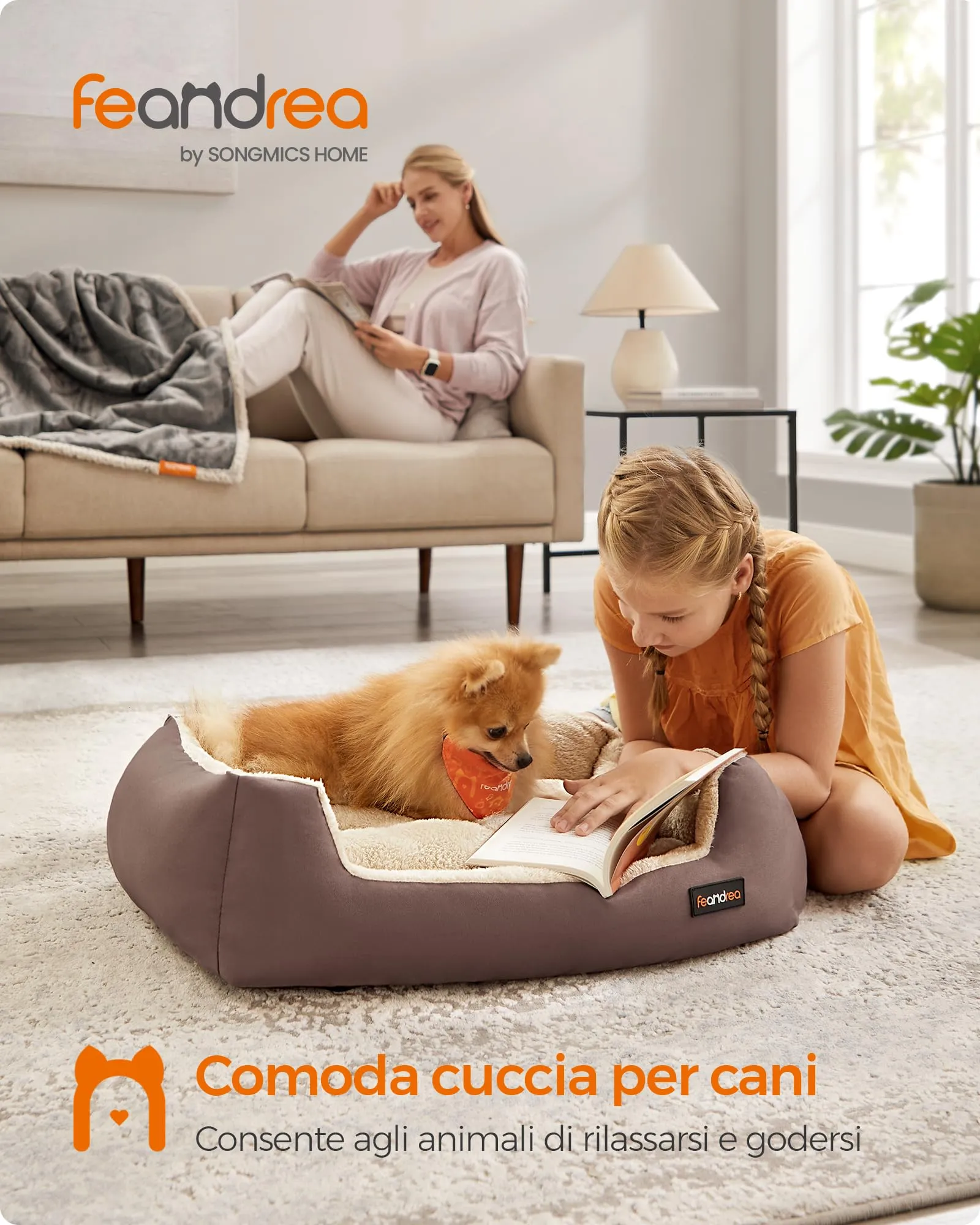 Feandrea Cuccia Cane Interno con Tappeto Rimovibile e Reversibile, 70 x 55 x 21 cm, Marrone Caffè + Beige Sabbia - immagine 3