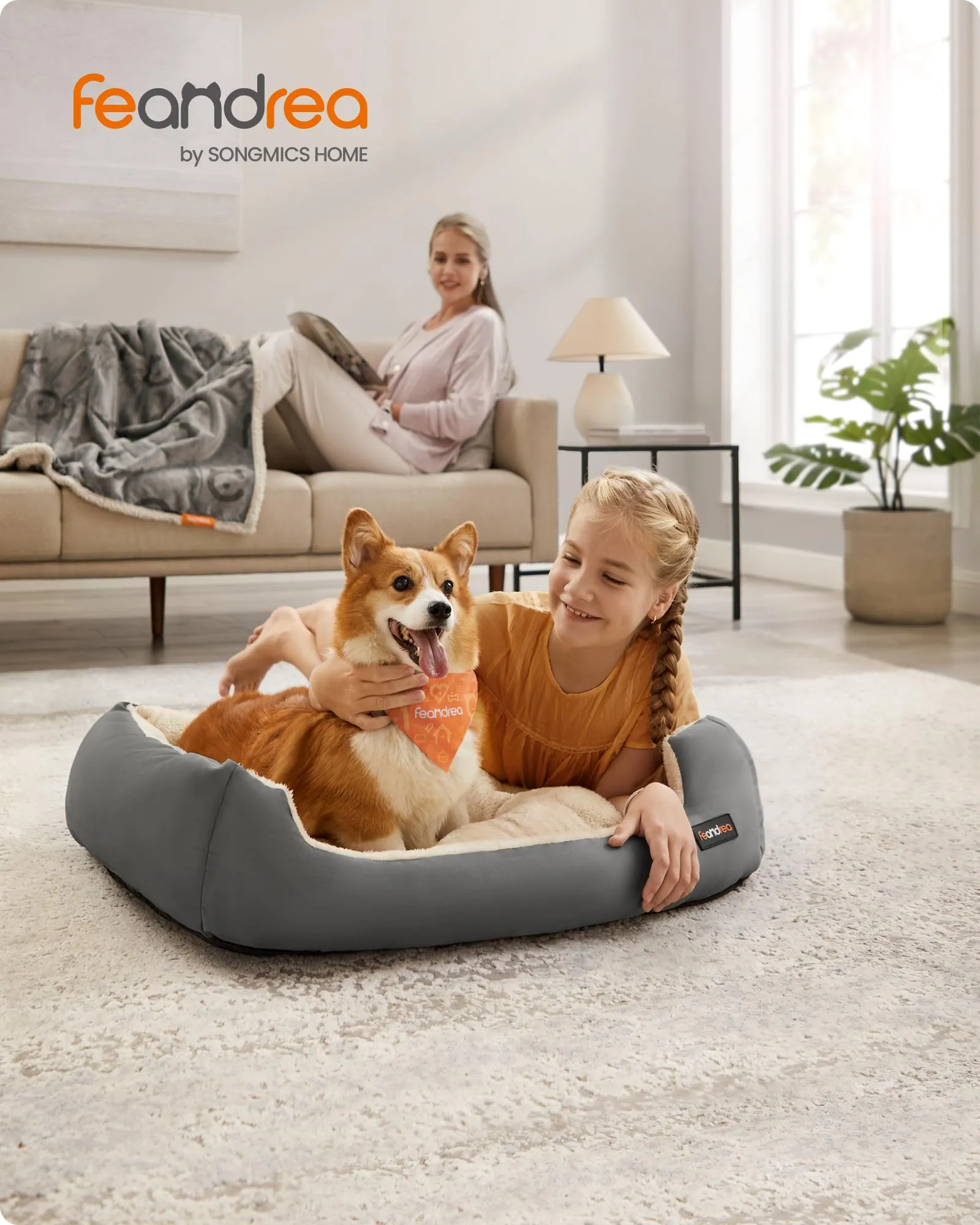 Feandrea Cuccia Cane Interno con Tappeto Rimovibile e Reversibile, 85 x 65 x 21 cm, Grigio Tortora + Beige Sabbia - immagine 2