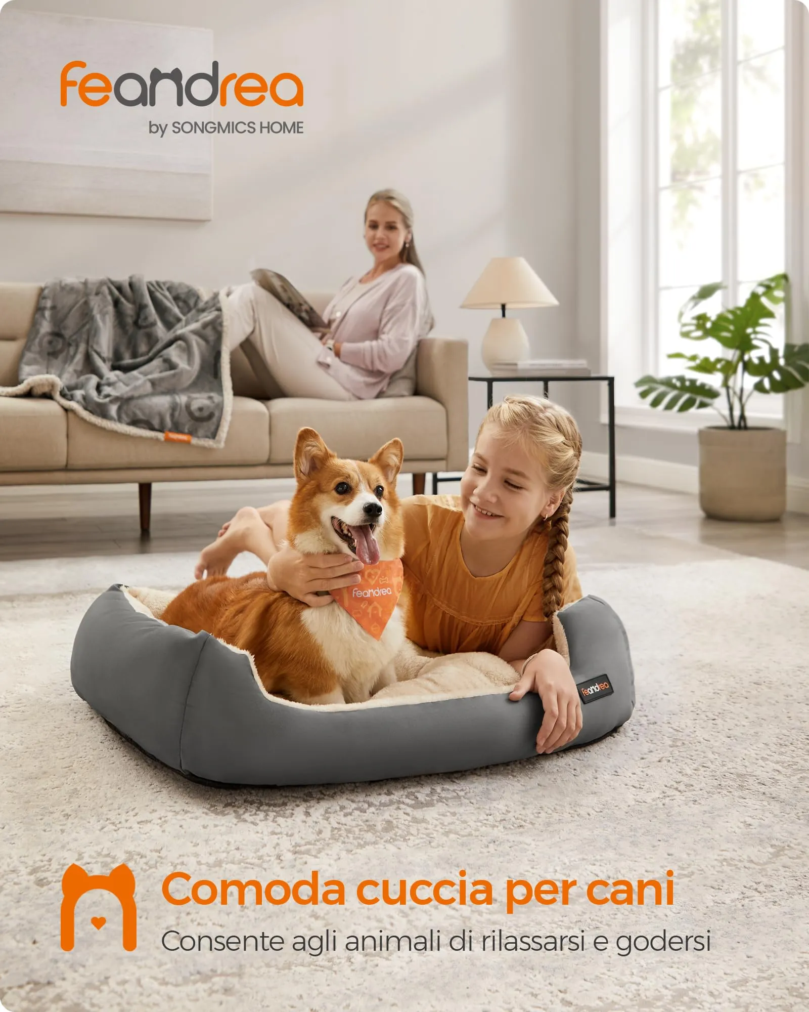 Feandrea Cuccia Cane Interno con Tappeto Rimovibile e Reversibile, 85 x 65 x 21 cm, Grigio Tortora + Beige Sabbia - immagine 3