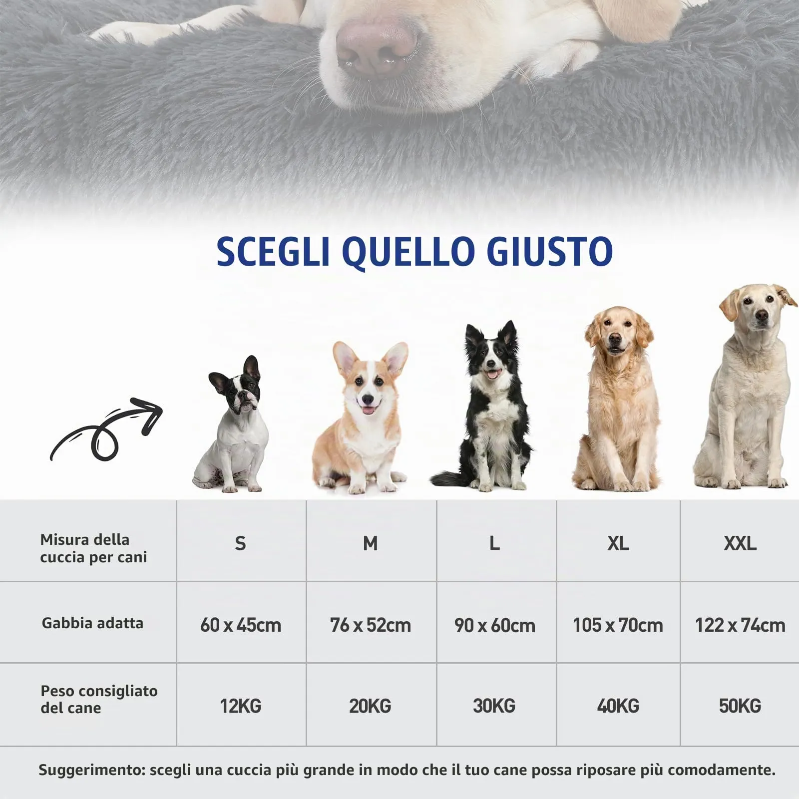KSIIA Cuscino per Cani, 60x45cm, Grigio scuro - immagine 2
