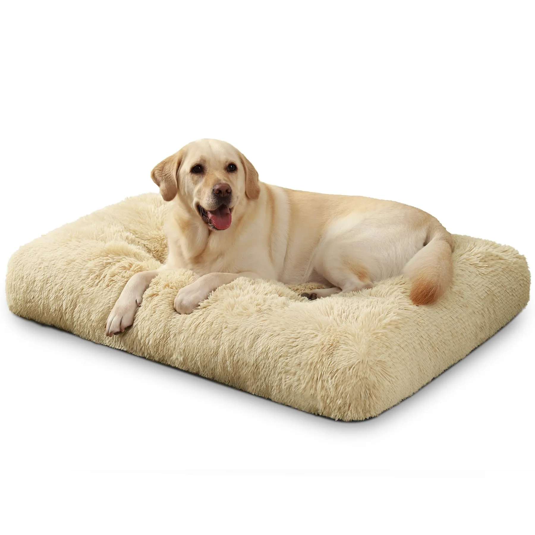 KSIIA Cuccia per Cani, Peluche Lavabile con Base Antiscivolo, 105 x 70 cm, Beige - immagine 1