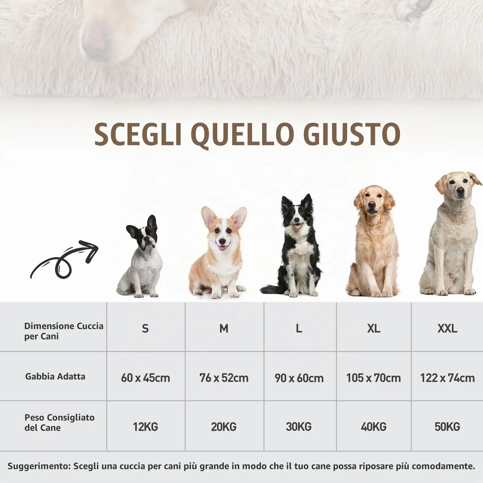 KSIIA Cuccia per Cani, Peluche Lavabile con Base Antiscivolo, 105 x 70 cm, Beige - immagine 2