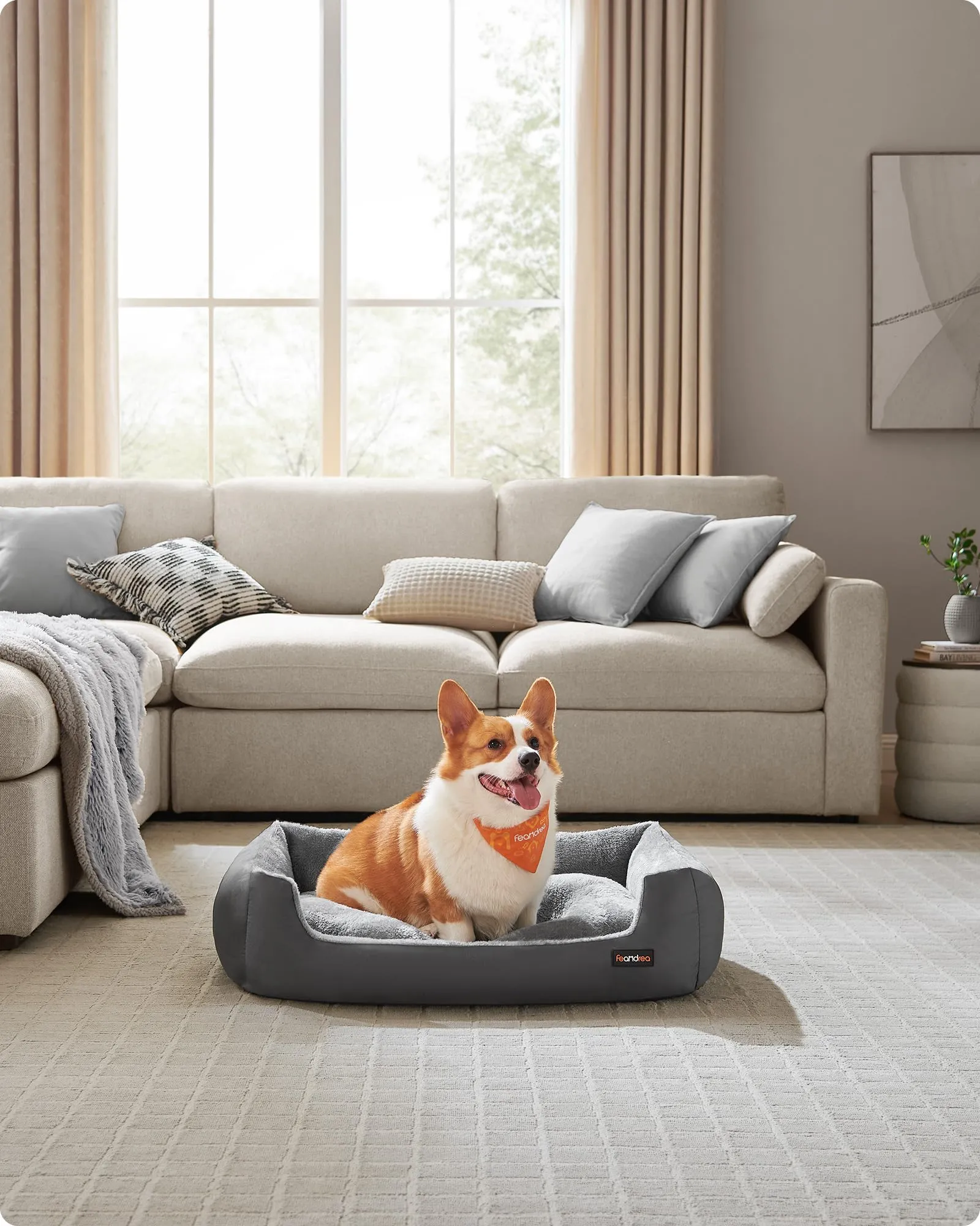 Feandrea Cuccia Cane Interno con Tappeto Rimovibile e Reversibile, 85 x 65 x 21 cm, Grigio Ardesia + Grigio Tortora - immagine 2