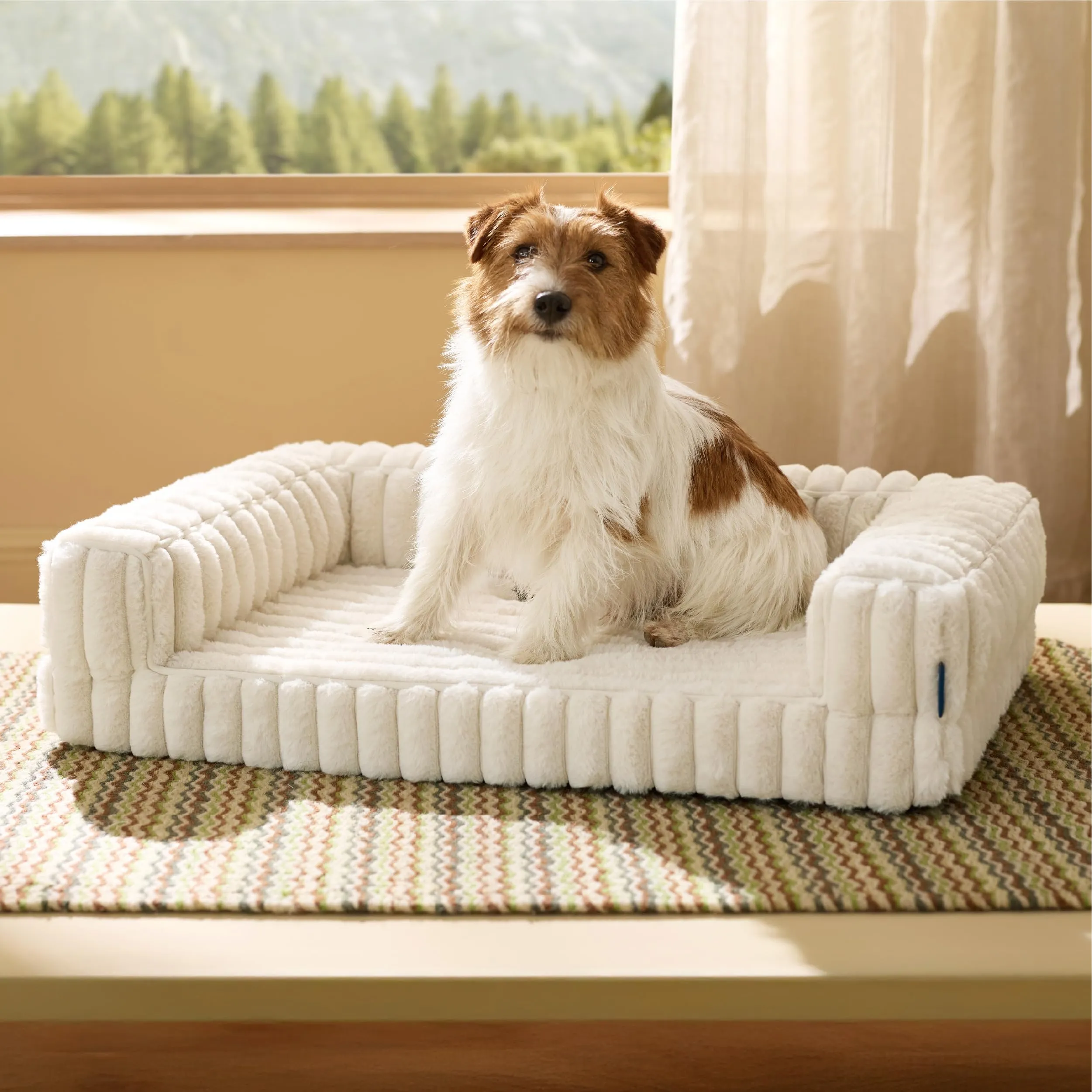 Bedsure Cuccia Ortopedica Lavabile per Cani, 76x51cm, Crema - immagine 1