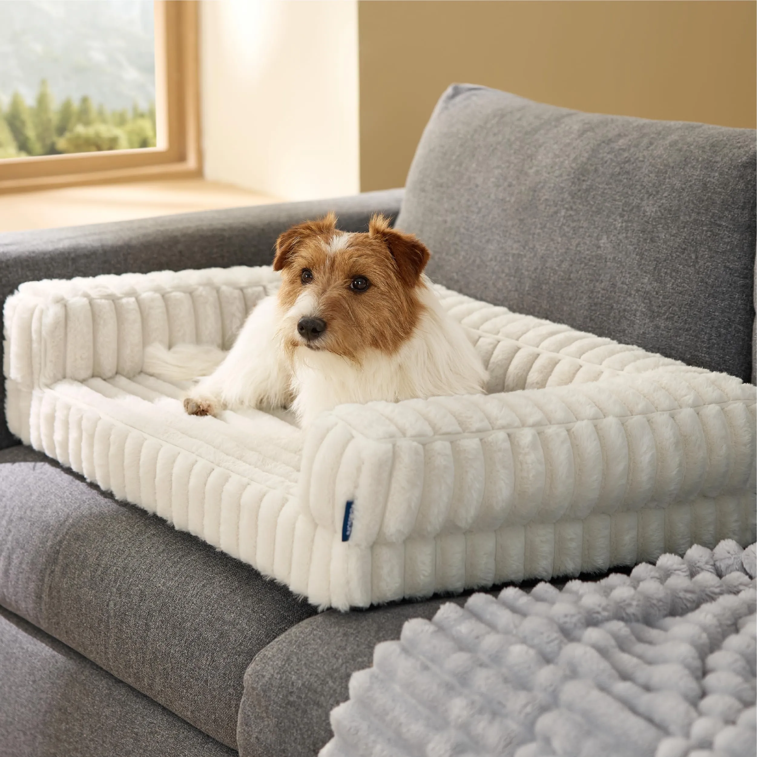 Bedsure Cuccia Ortopedica Lavabile per Cani, 76x51cm, Crema - immagine 8