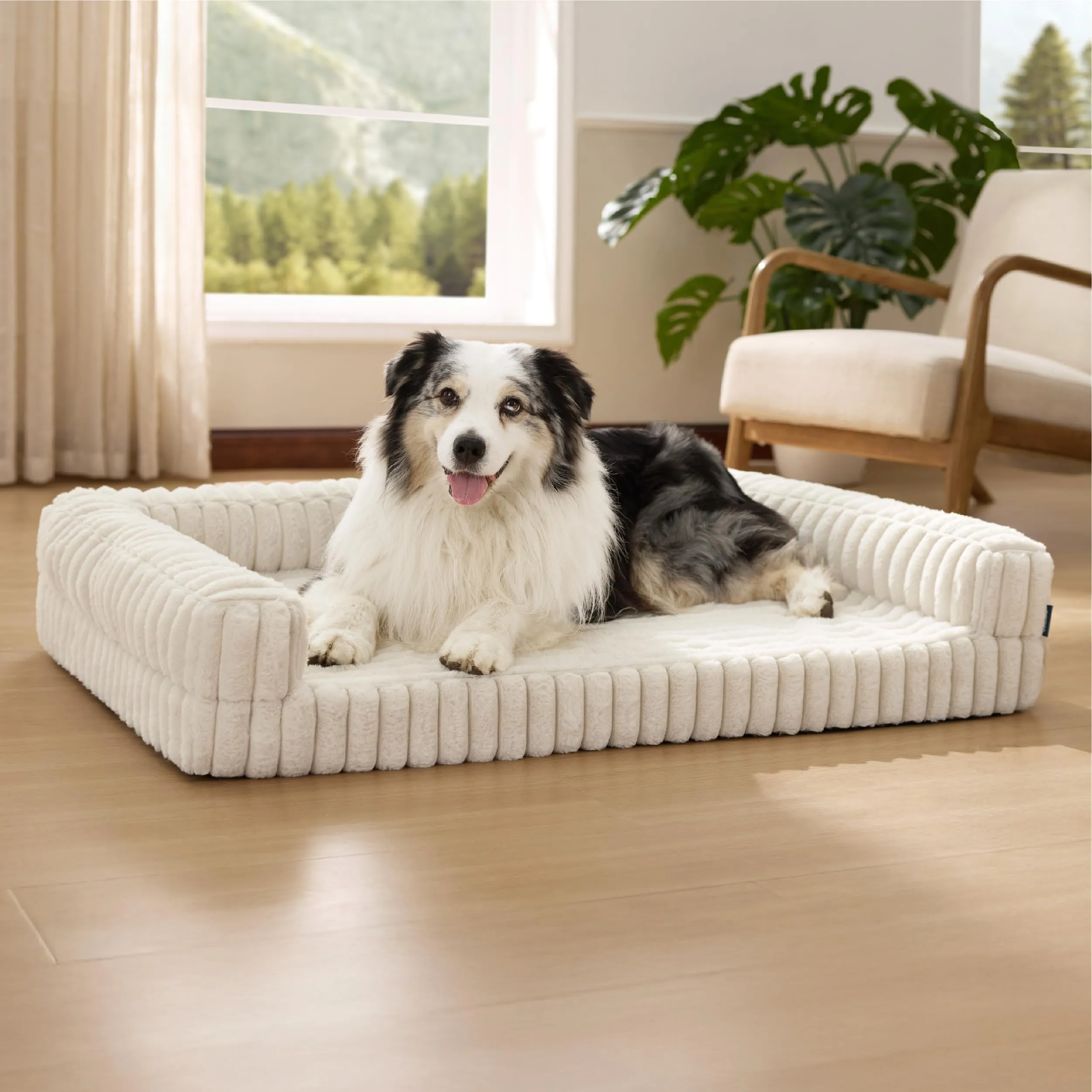Bedsure Cuccia Ortopedica Lavabile per Cani, 106x76cm, Crema - immagine 1