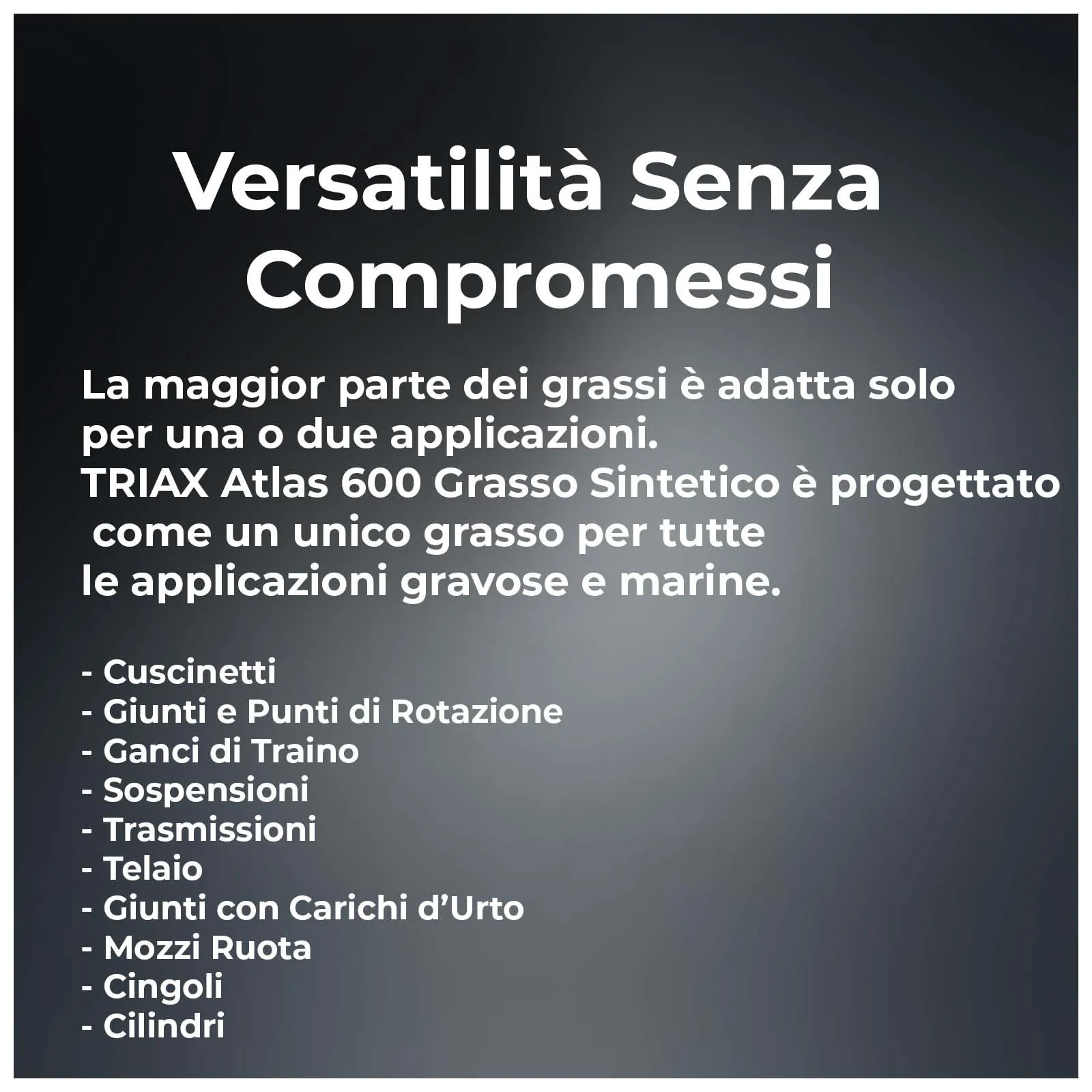 Triax Atlas 600 Grasso Sintetico Blu NLGI 2 (10 cartucce da 400 g) - immagine 6