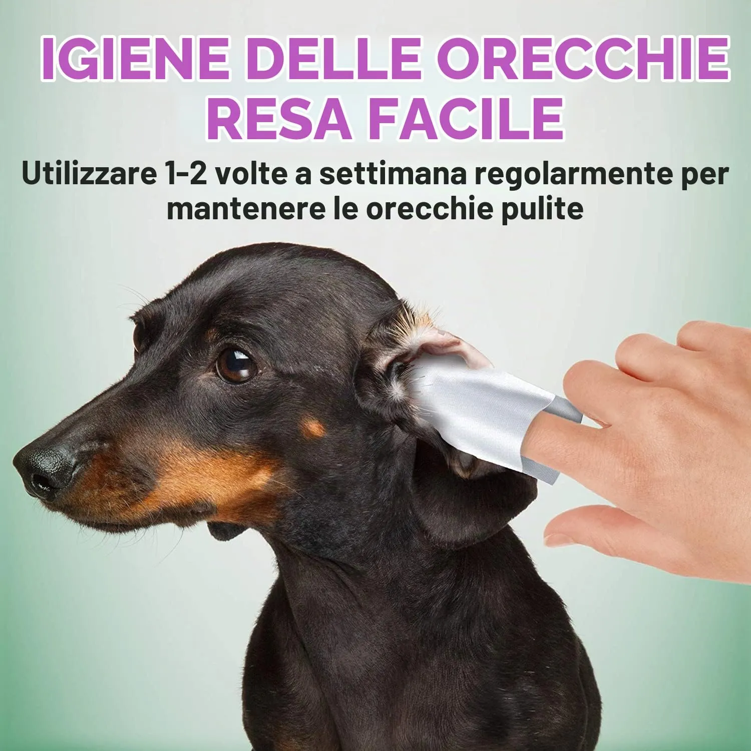 Vet's Best Clean Eye and Ear Salviette professionali biodegradabili per cani e gatti, 160 pezzi - immagine 4