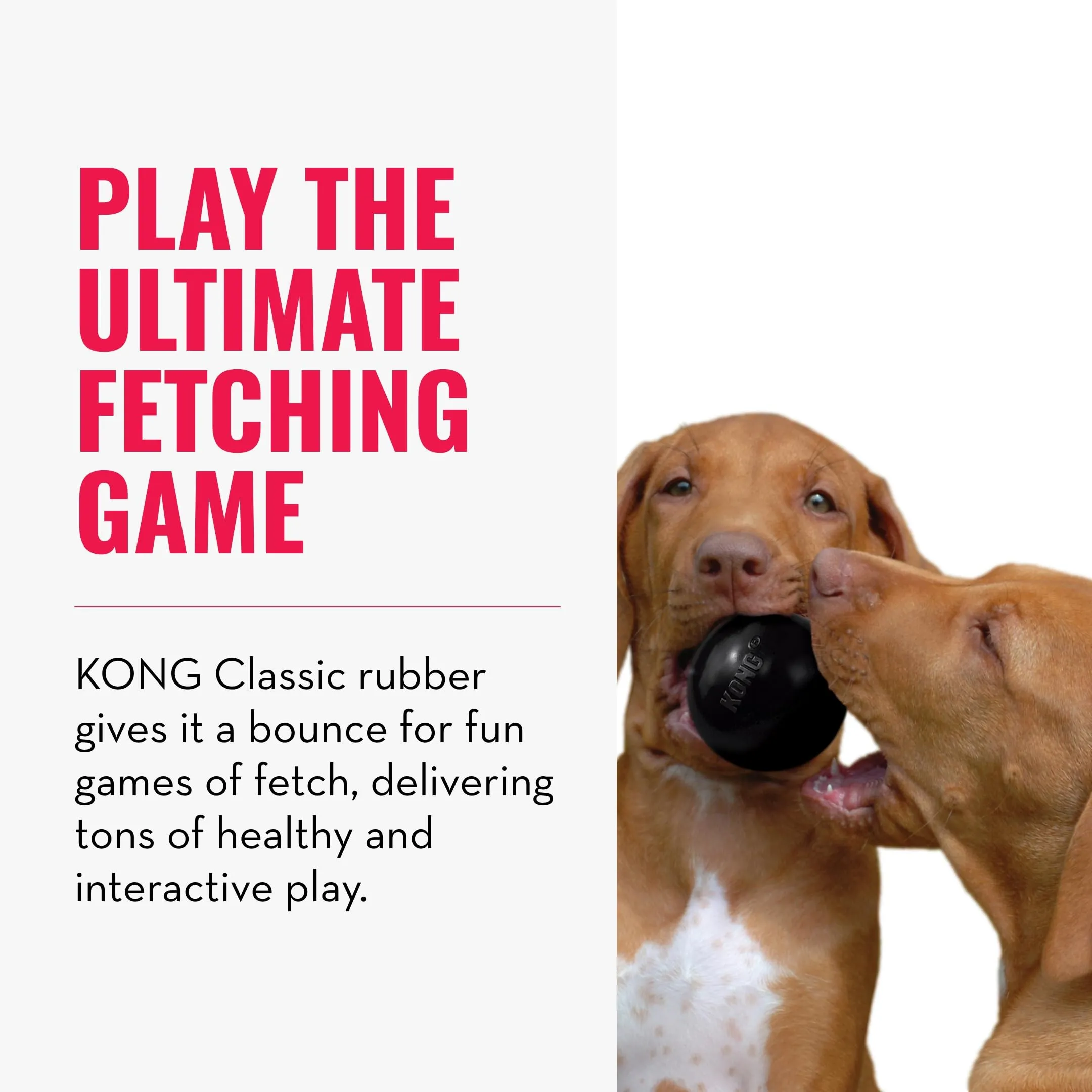 KONG Extreme Ball con Foro per Cani, Nero, Piccola - immagine 4