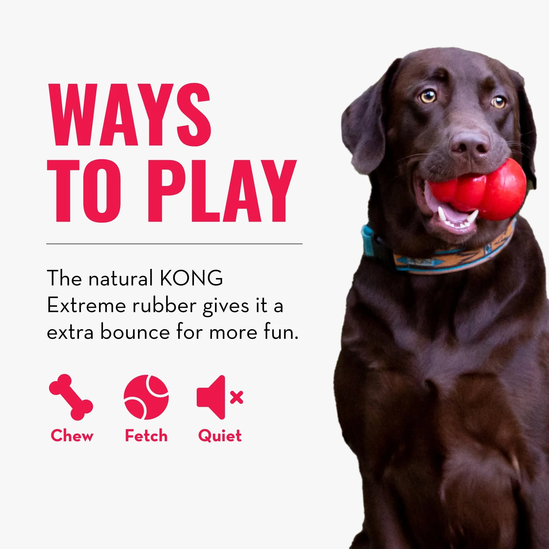 KONG Extreme Ball con Foro per Cani, Nero, Piccola - immagine 6