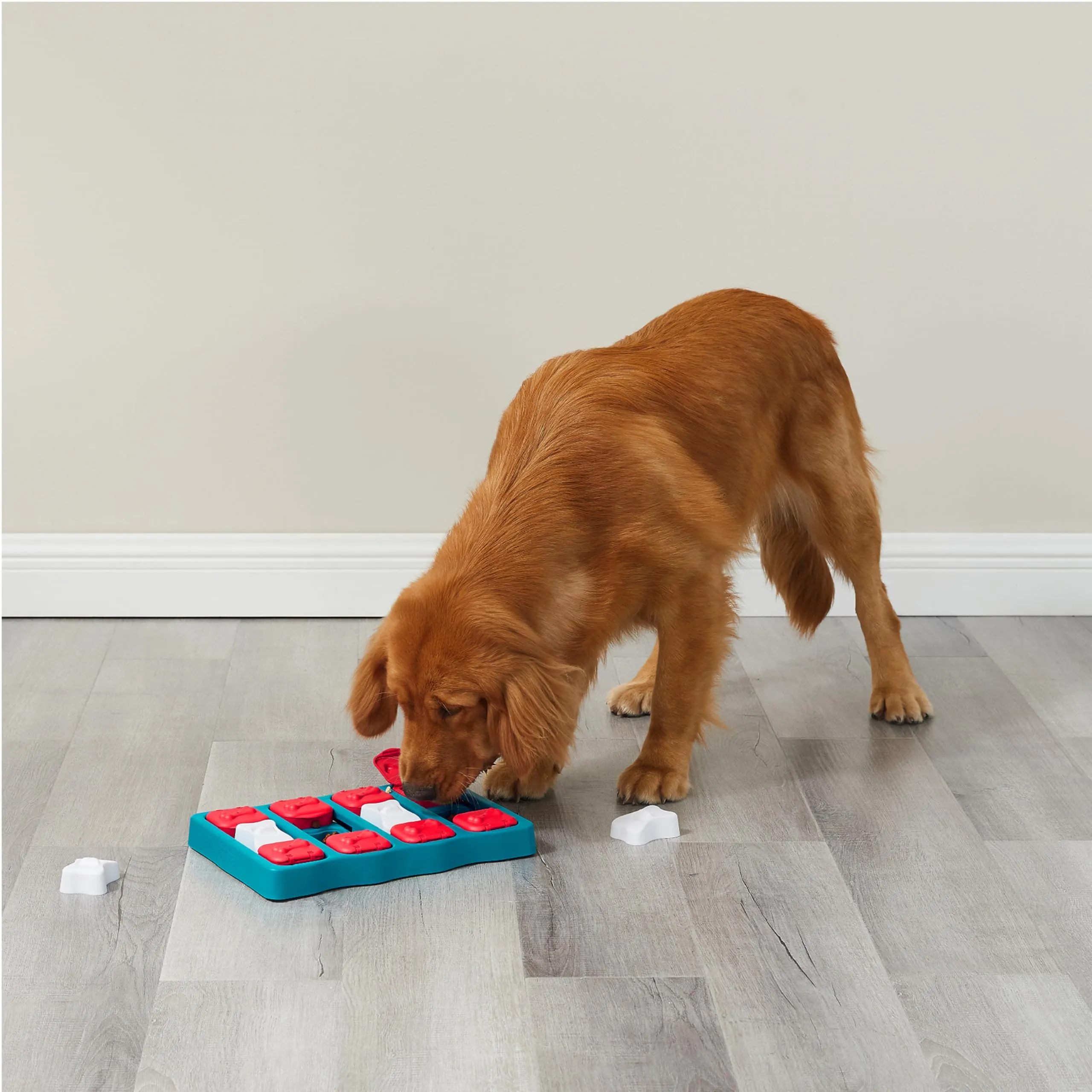 Outward Hound Nina Ottosson Dog Brick - Gioco Rompicapo Interattivo per Cani - Livello 2 Intermedio - immagine 2