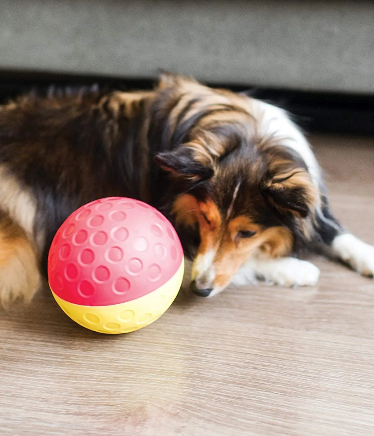 Outward Hound Nina Ottosson Treat Tumble Gioco Rompicapo Interattivo per Cani, Rosso/Giallo, Large - immagine 2