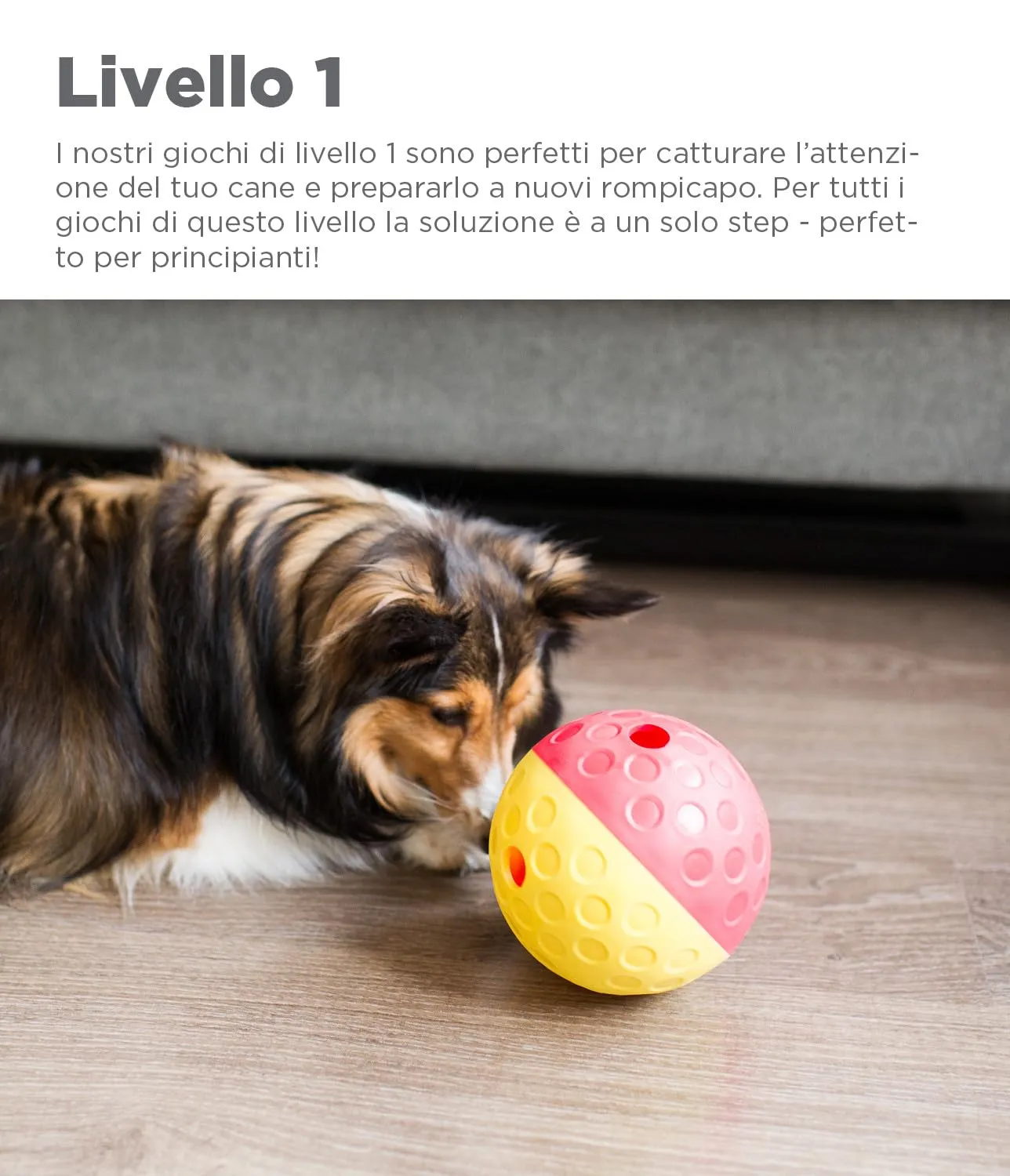 Outward Hound Nina Ottosson Treat Tumble Gioco Rompicapo Interattivo per Cani, Rosso/Giallo, Large - immagine 5