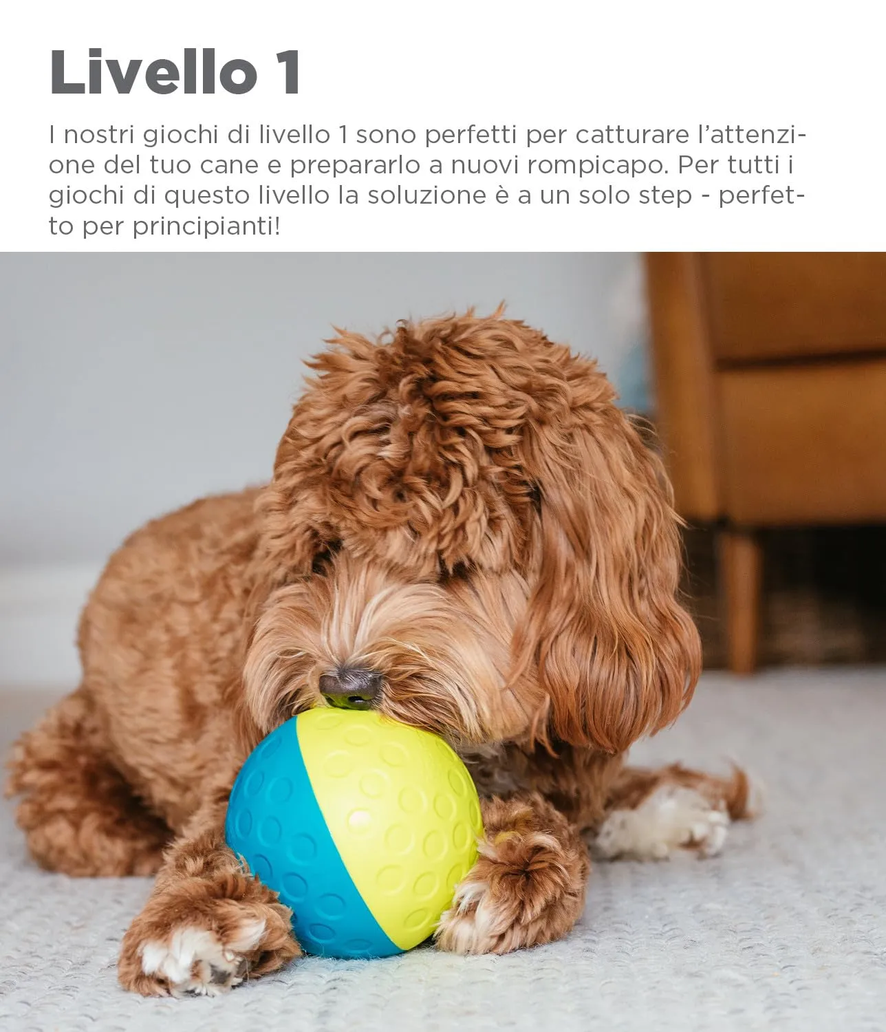 Outward Hound Nina Ottosson Treat Tumble Gioco Rompicapo Interattivo per Cani, Blu, Small - immagine 5