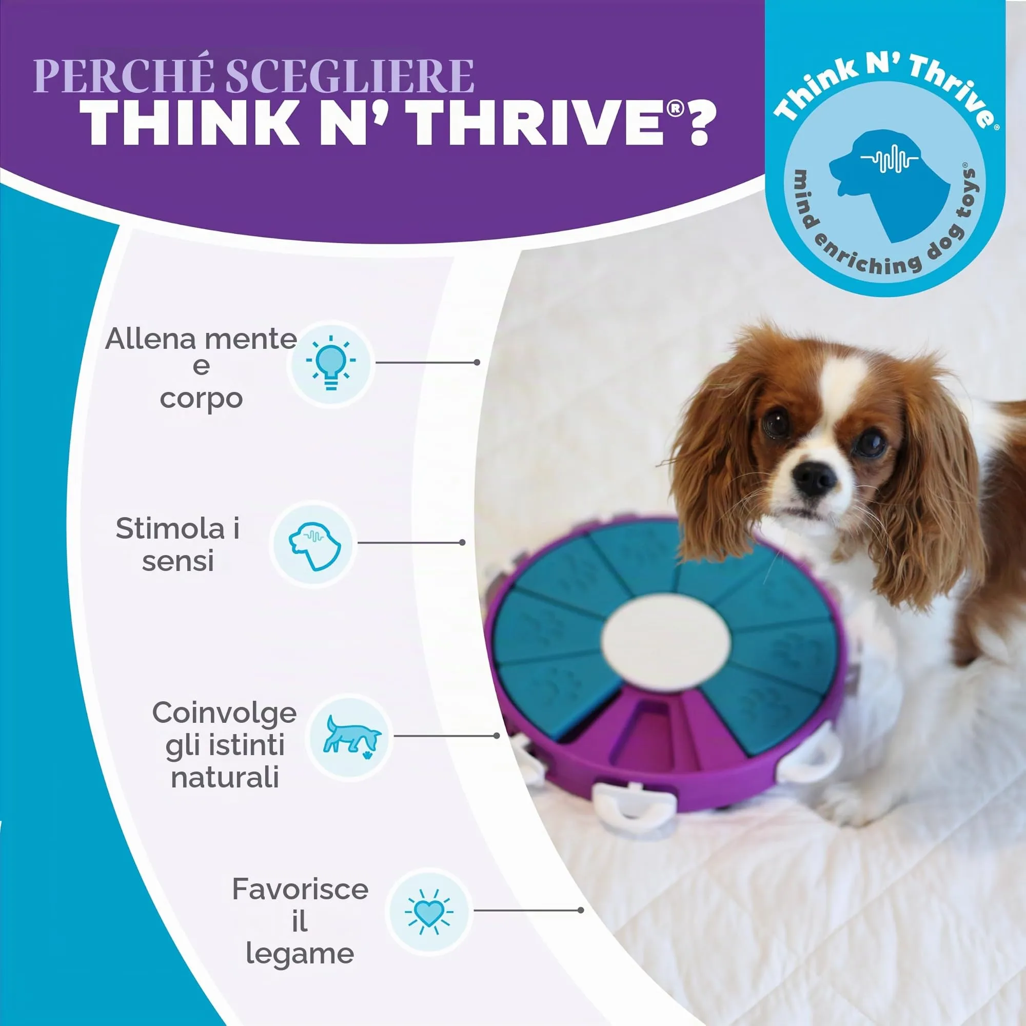 Outward Hound Nina Ottosson Dog Twister - Gioco Rompicapo Interattivo per Cani, Livello 3 Avanzato - immagine 6
