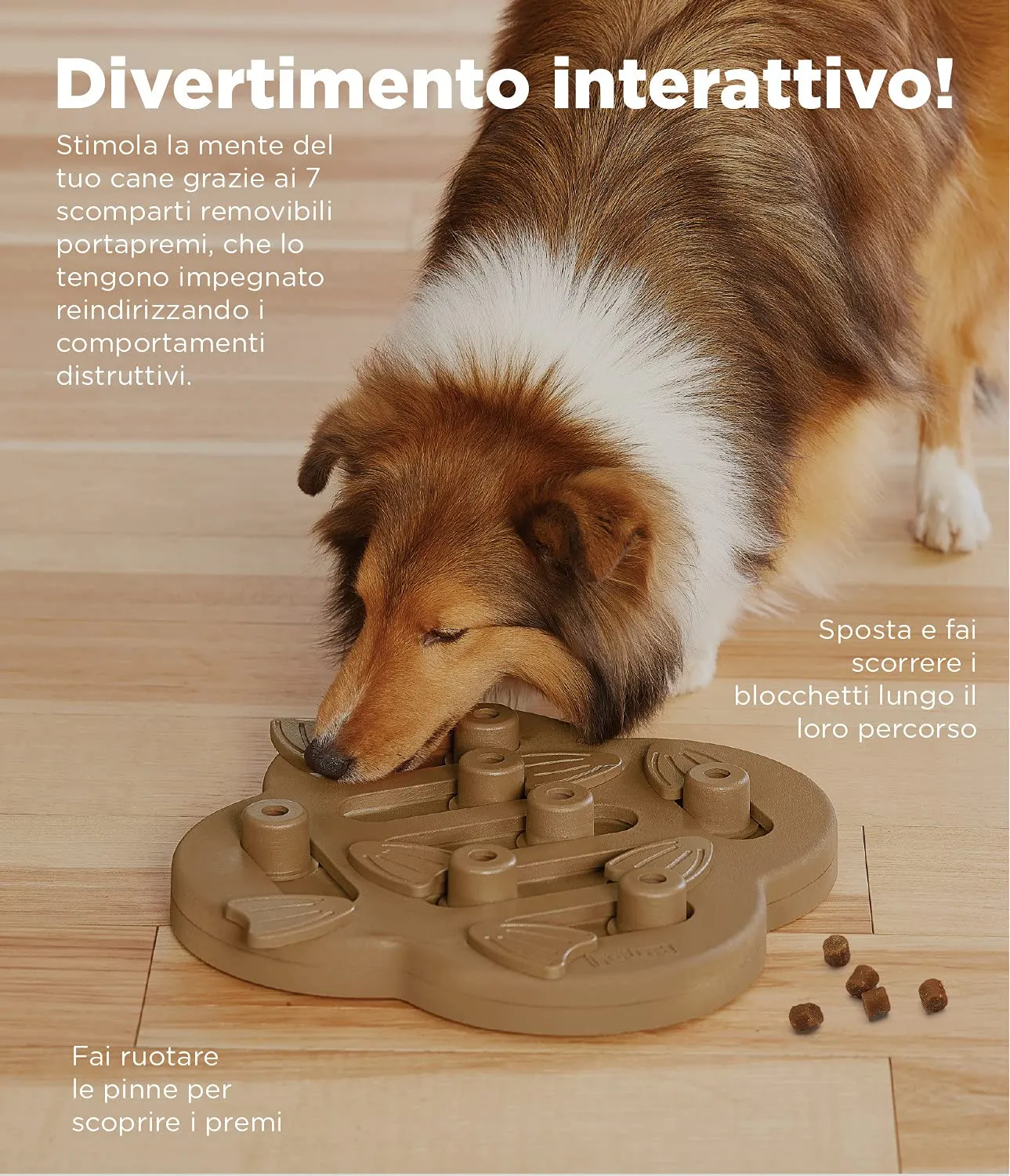 Outward Hound Nina Ottosson Dog Hide N' Slide Livello 2 - Marrone Chiaro - immagine 3
