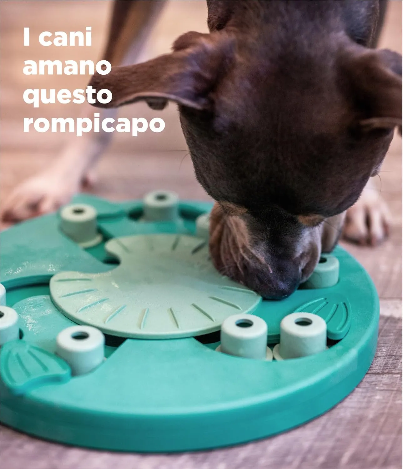 Outward Hound Nina Ottosson Dog Worker Gioco Rompicapo Interattivo per Cani Livello 3 - Verde - immagine 5