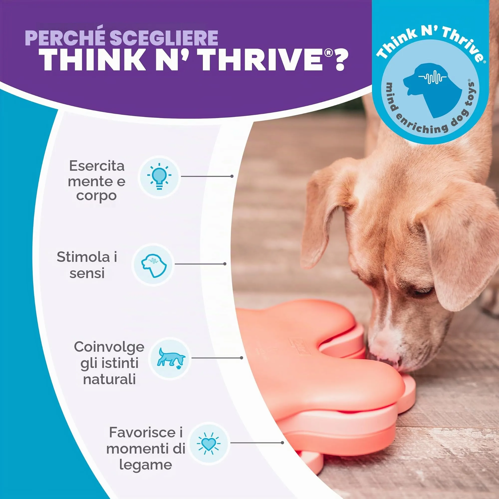 Outward Hound Nina Ottosson Puppy Tornado - Gioco Interattivo Rompicapo per Cani Livello 2 - immagine 6