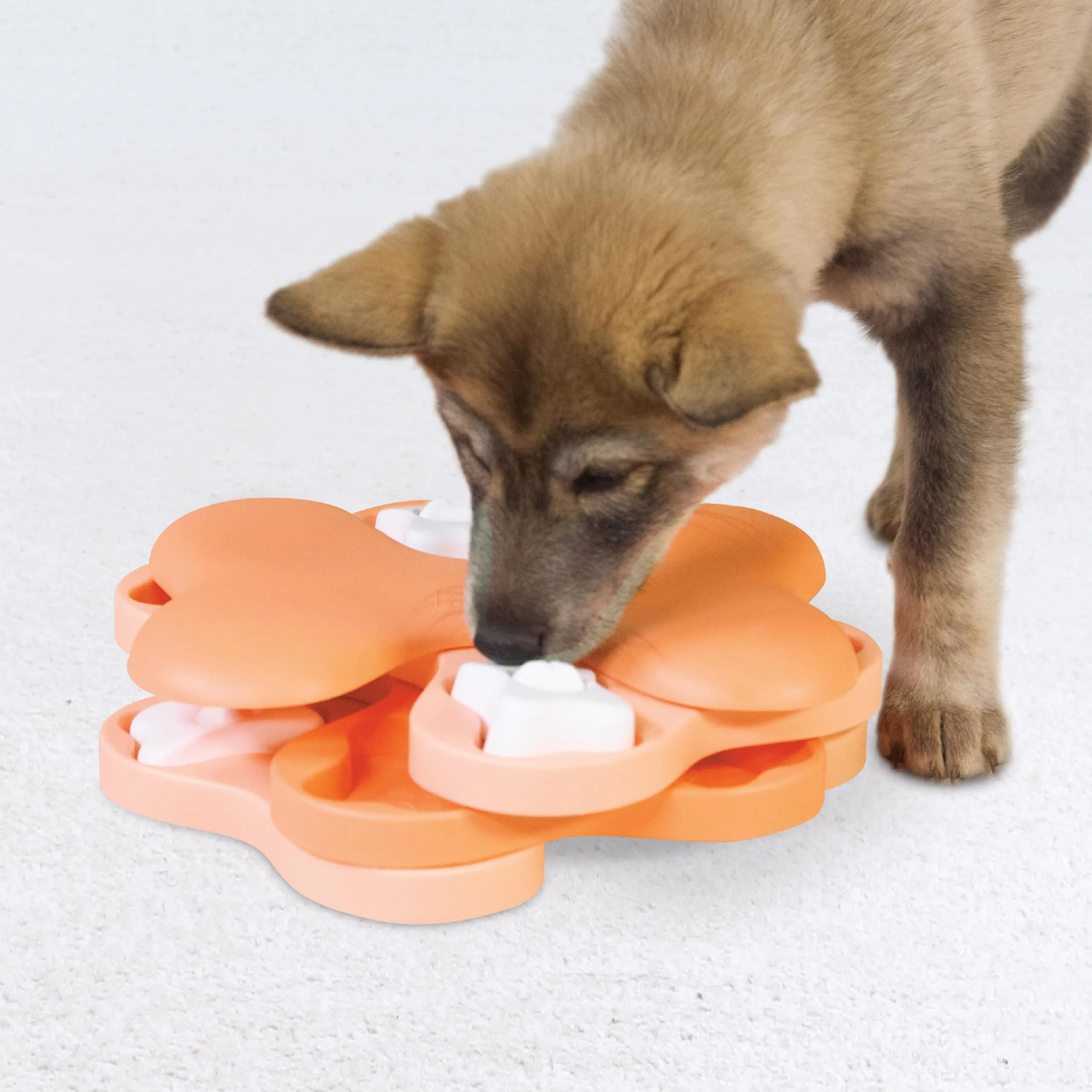 Outward Hound Nina Ottosson Puppy Tornado - Gioco Interattivo Rompicapo per Cani Livello 2 - immagine 7