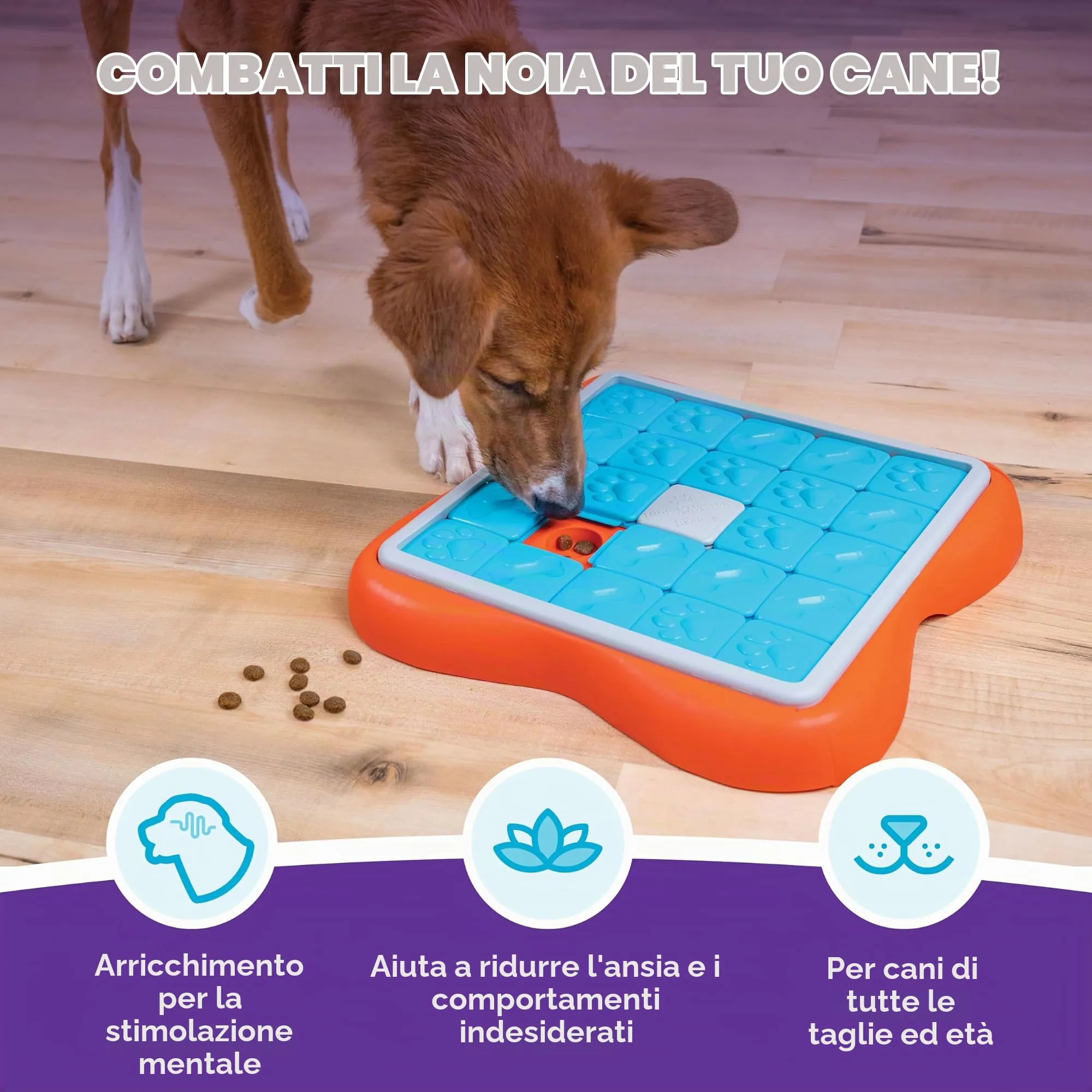 Outward Hound Nina Ottosson Challenge Slider - Gioco Rompicapo Interattivo per Cani, Livello 3 (Avanzato) - immagine 2