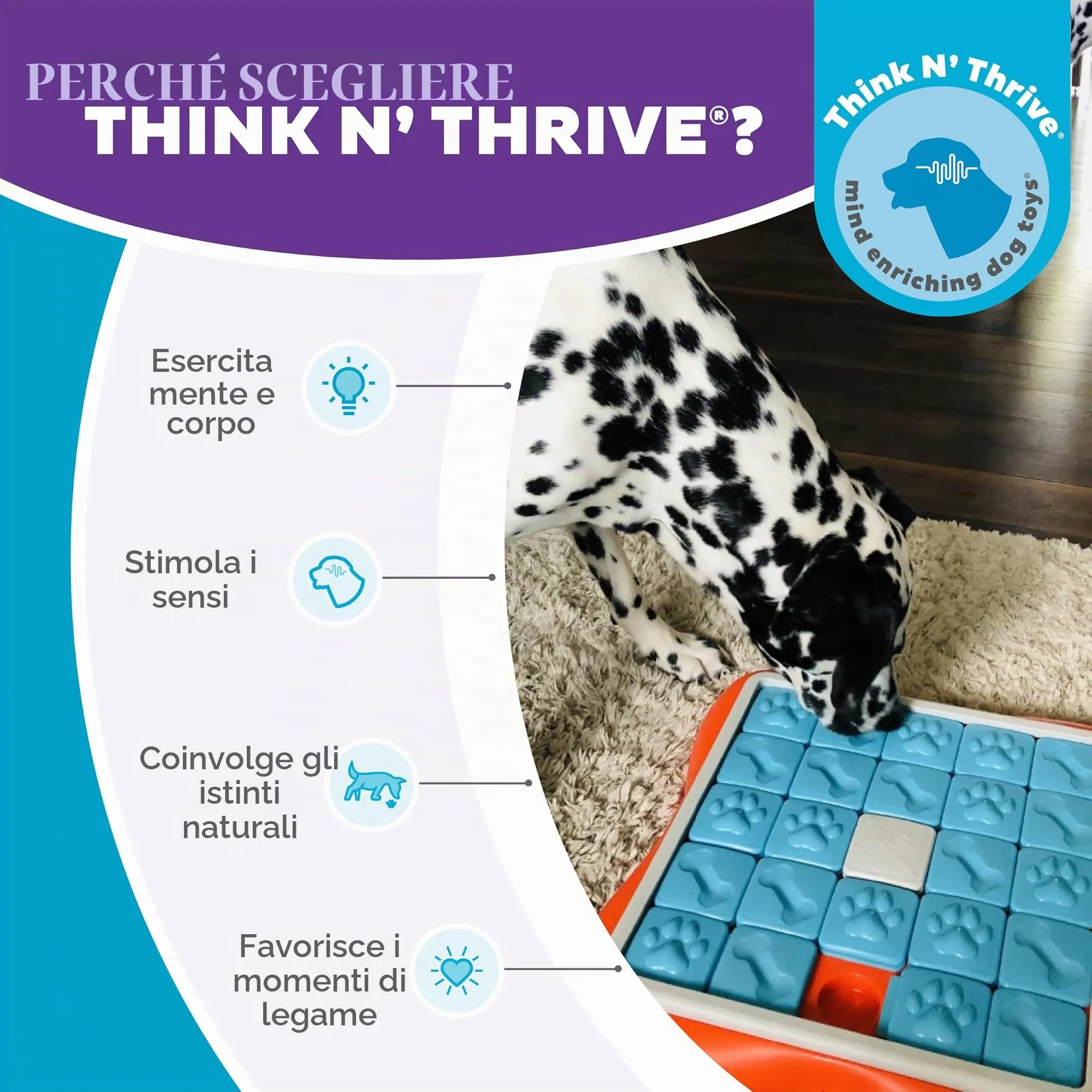 Outward Hound Nina Ottosson Challenge Slider - Gioco Rompicapo Interattivo per Cani, Livello 3 (Avanzato) - immagine 6
